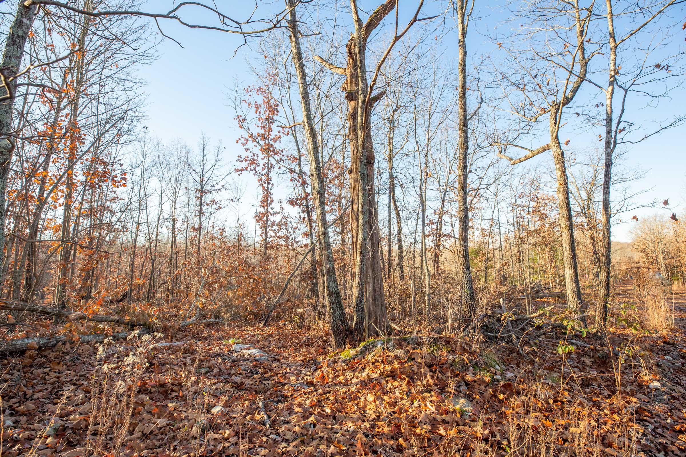 Dutchman Hollow Tract 6 photo 12