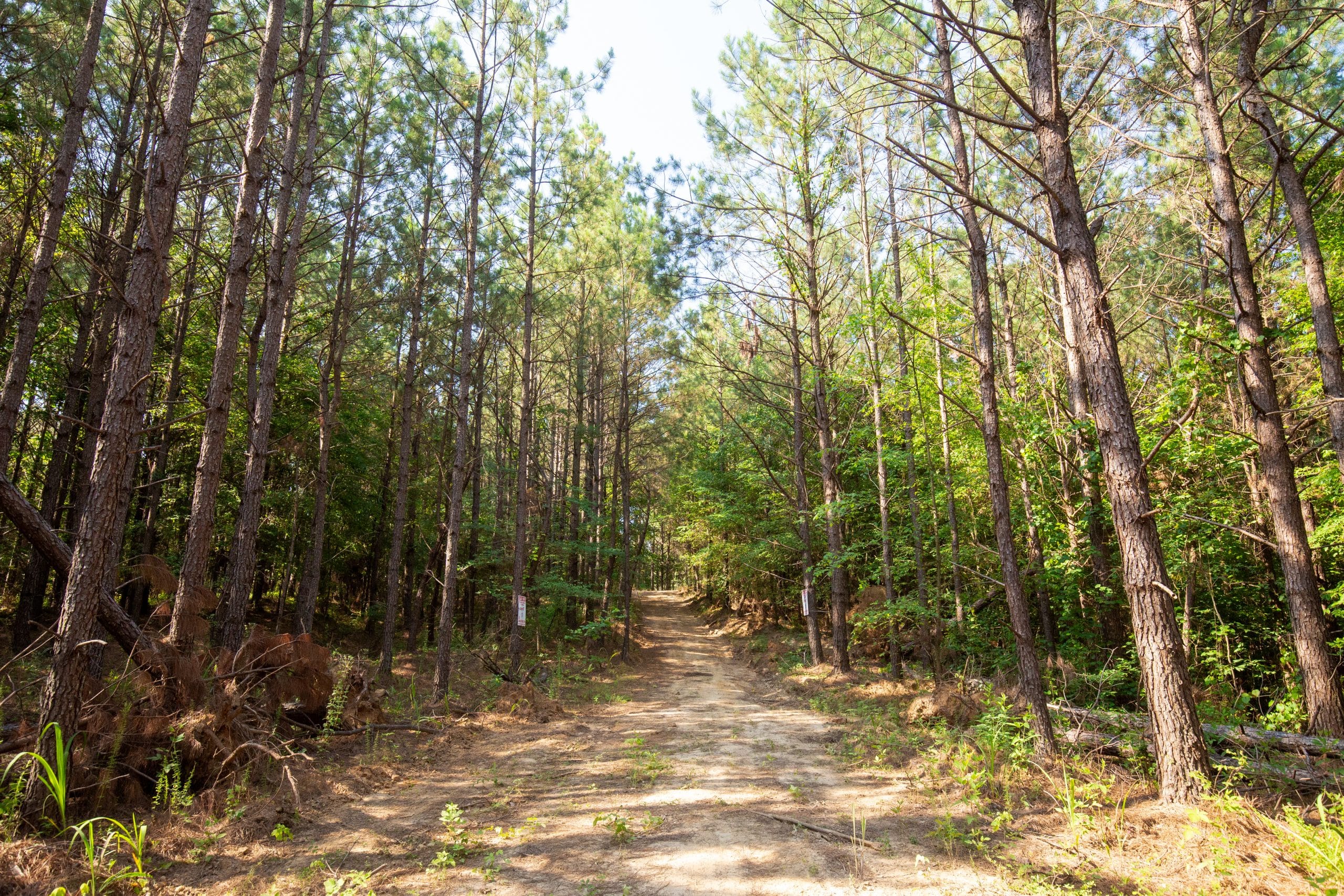 Whiskey Ridge Tract 80 photo 1