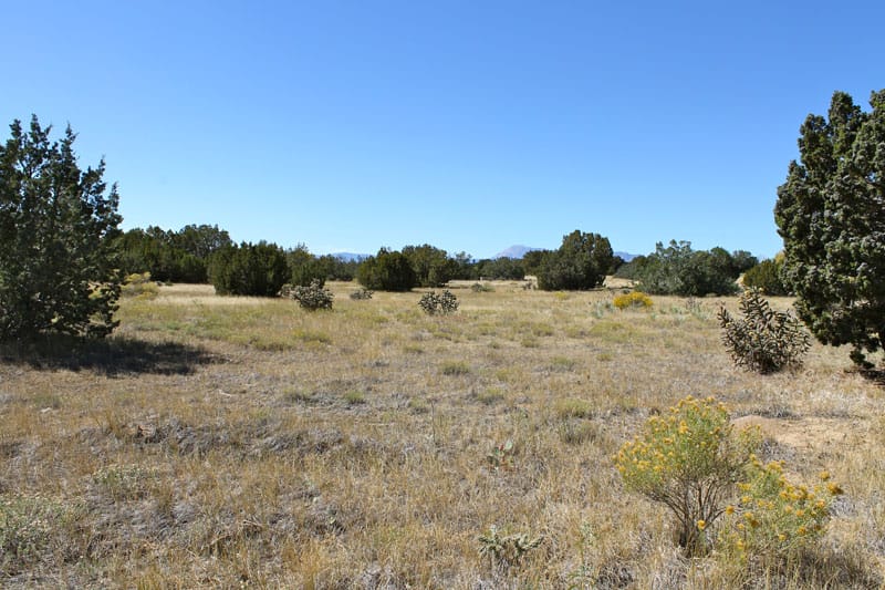Black Diamond Park Tract 16 photo 1