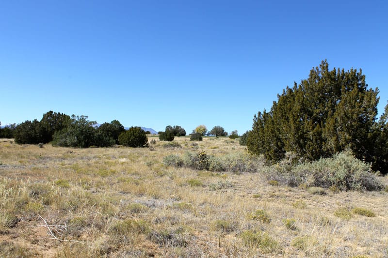 Black Diamond Park Tract 16 photo 4