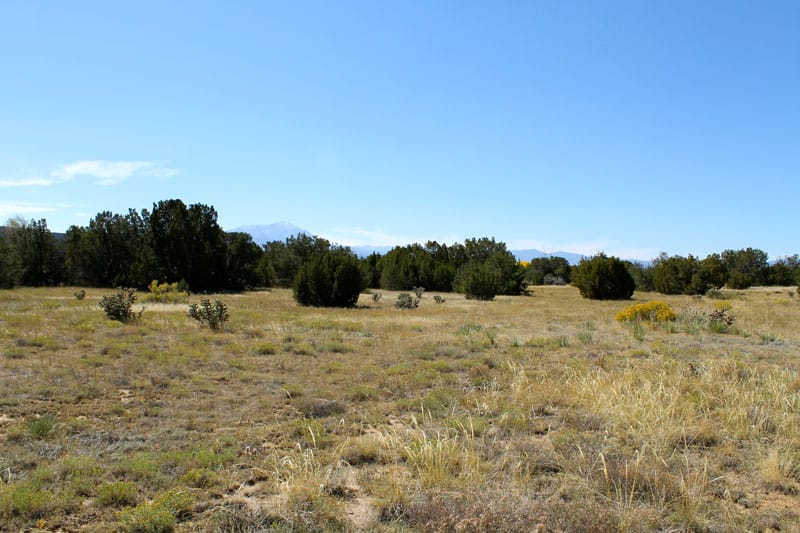 Black Diamond Park Tract 16 photo 6