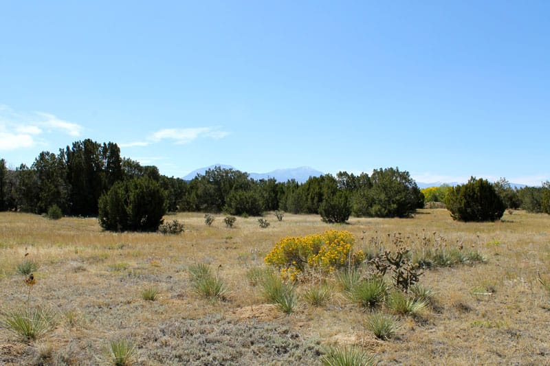 Black Diamond Park Tract 16 photo 7