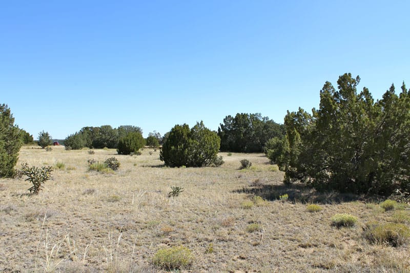 Black Diamond Park Tract 16 photo 10