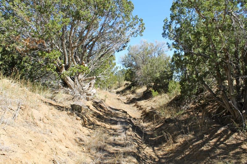 Black Diamond Park Tract 16 photo 17