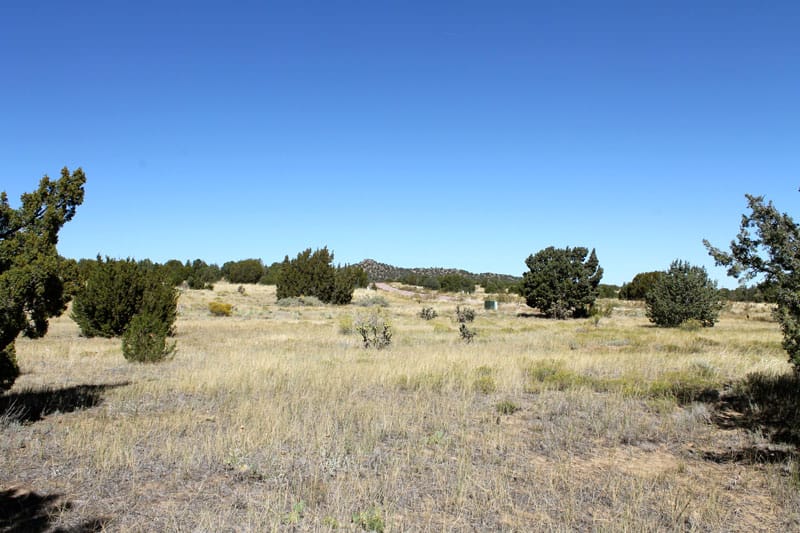 Black Diamond Park Tract 16 photo 19