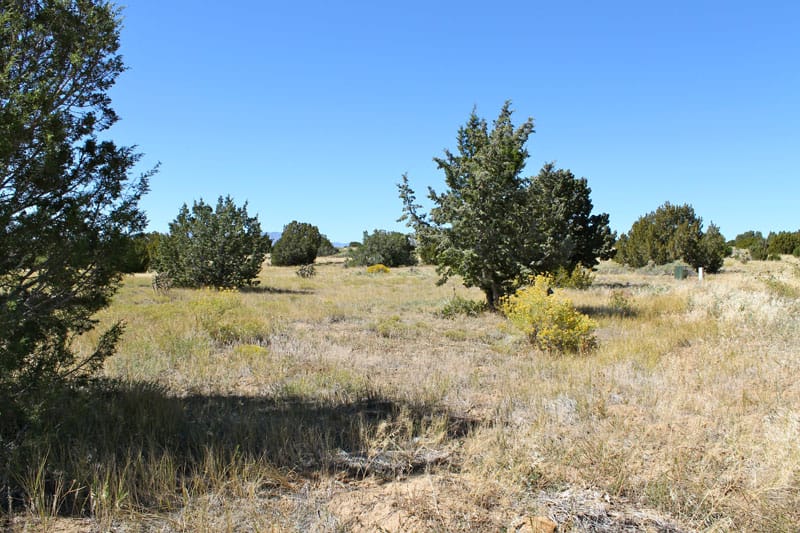 Black Diamond Park Tract 16 photo 21