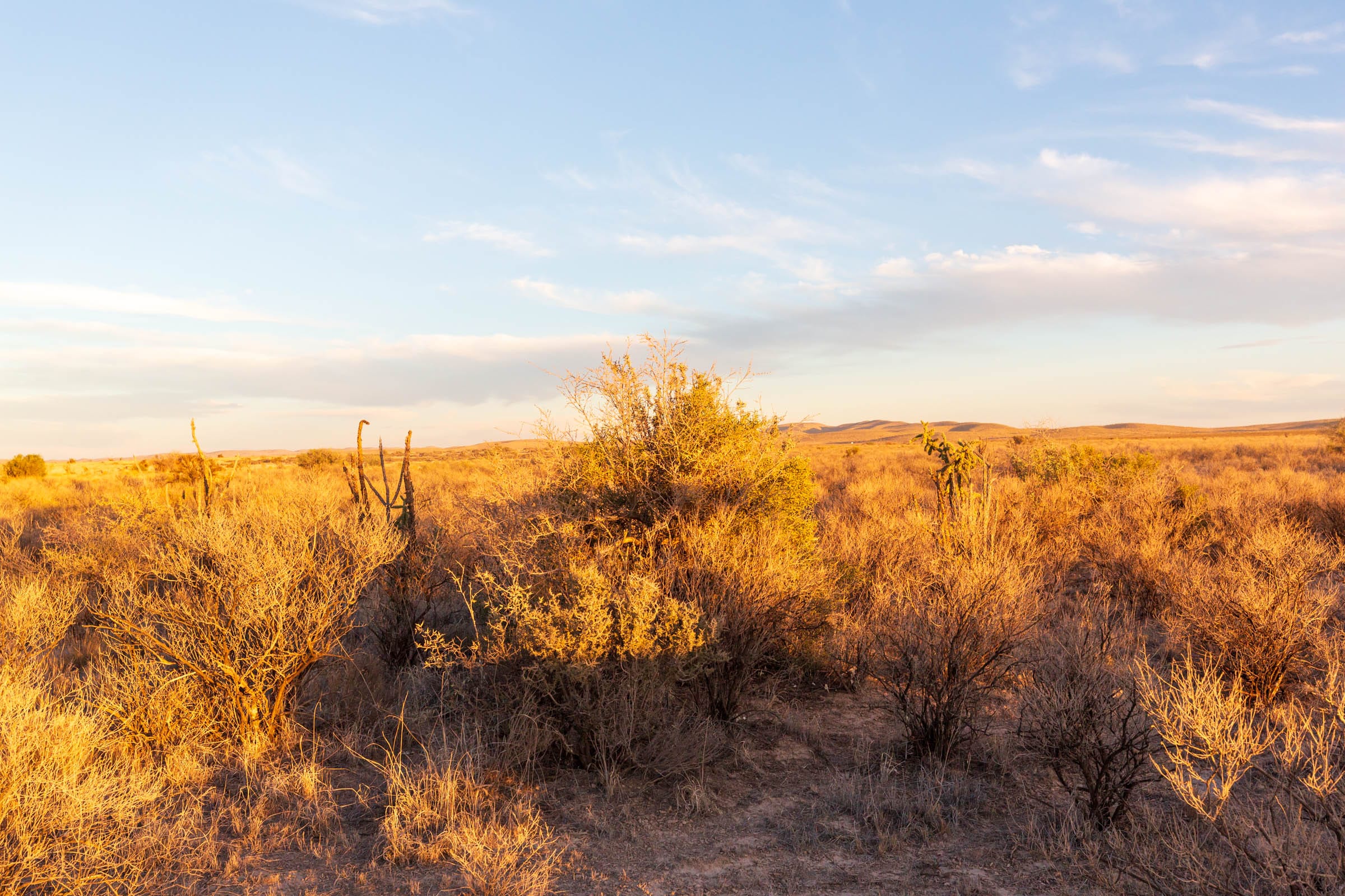 Sunrise Ranches Phase IV Tract 160 photo 2