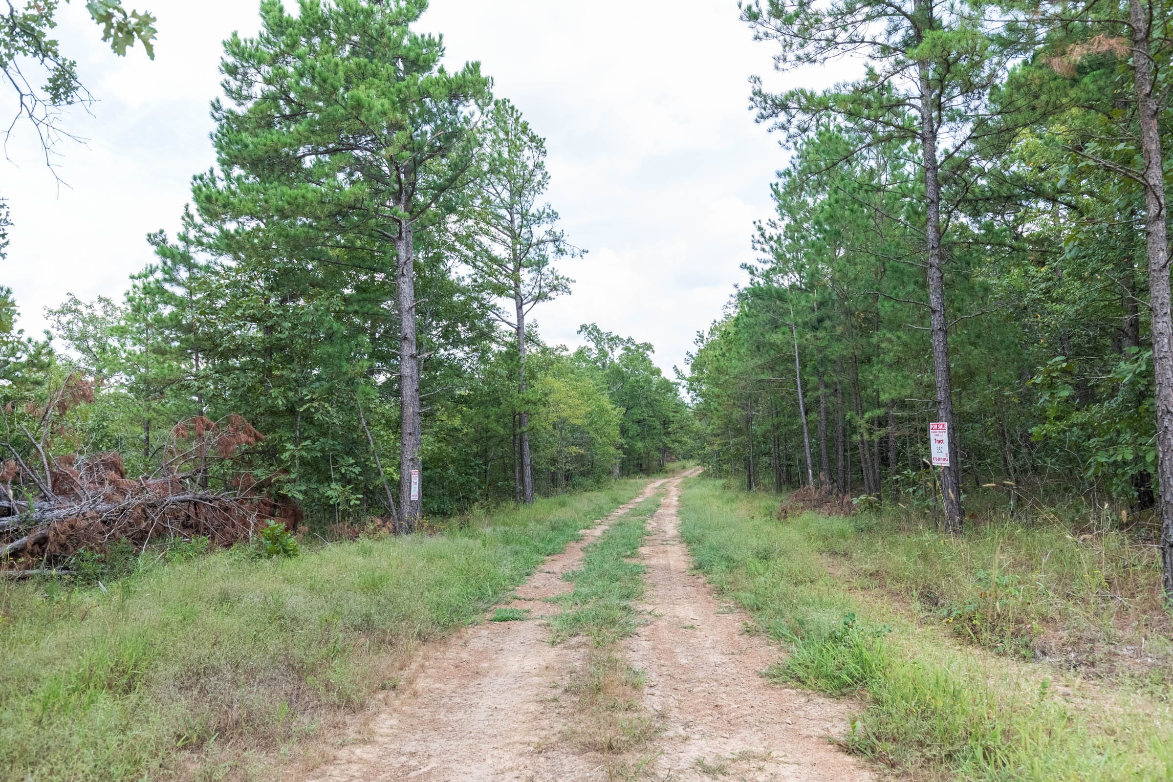 Stone Bridge Phase V Tract 351 photo 1