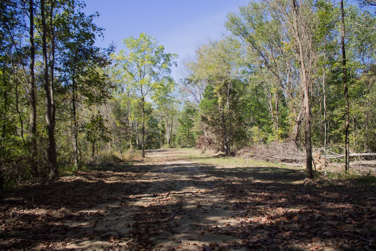 Black Oak Ranch Tract 6 photo 8