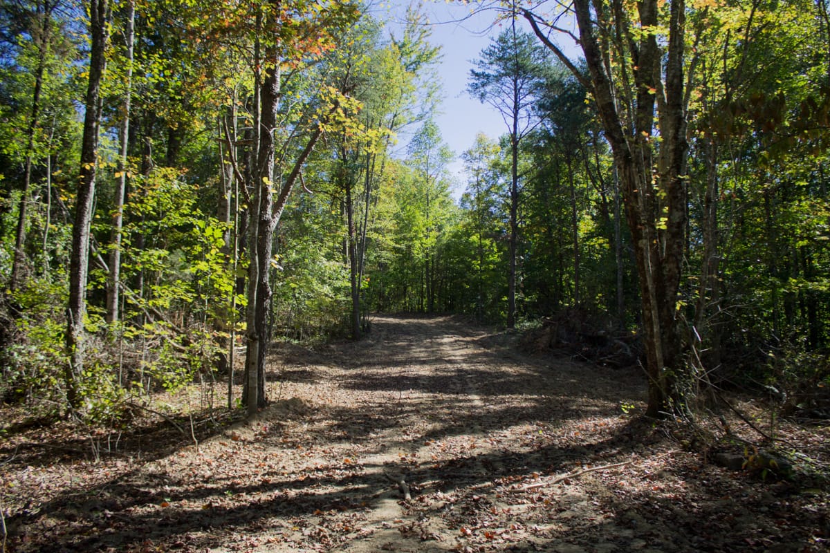Black Oak Ranch Tract 6 photo 1