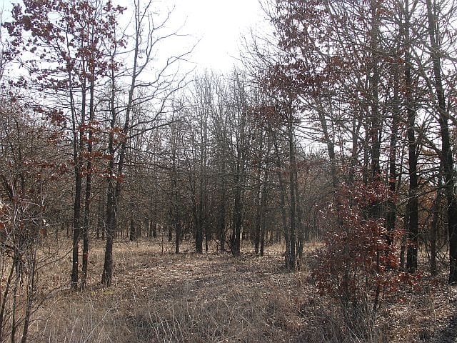 Tranquility Farms Tract 4 photo 3