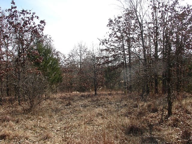 Tranquility Farms Tract 4 photo 5