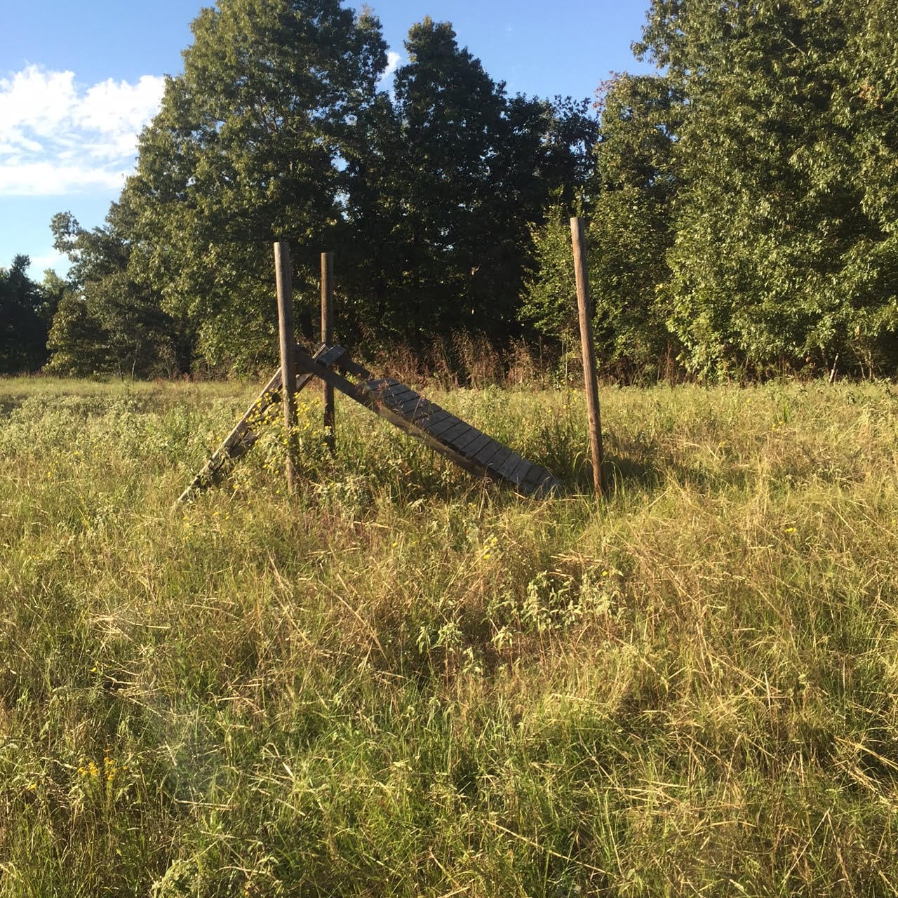Tranquility Farms Tract 4 photo 11