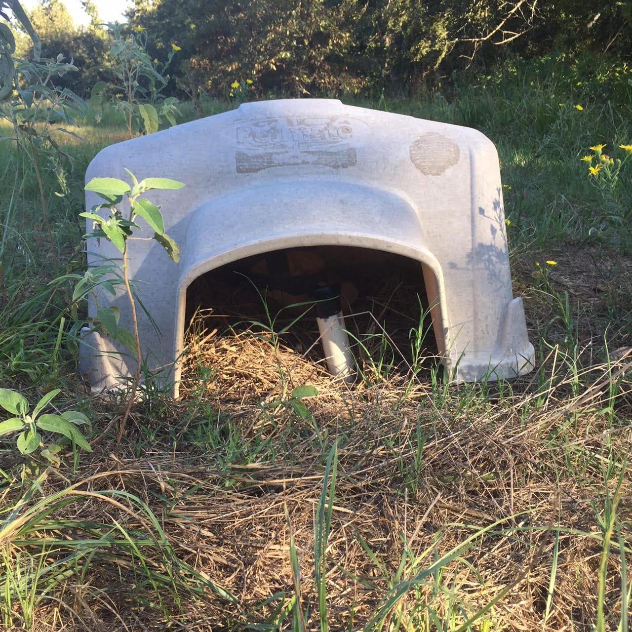 Tranquility Farms Tract 4 photo 12