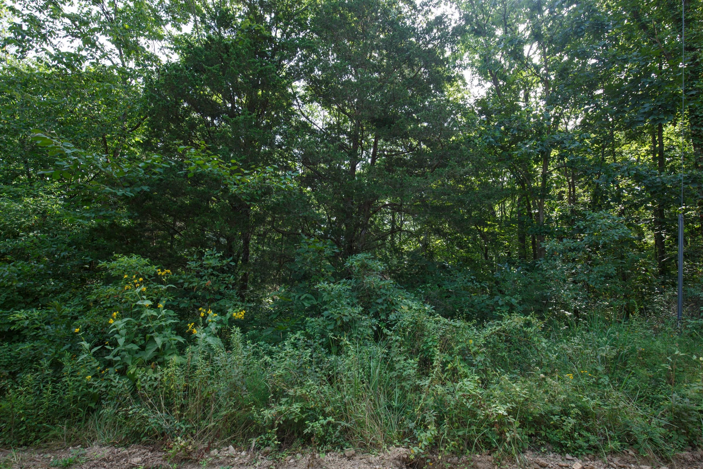 Spring Lake Plat 6 Tract 71 photo 5