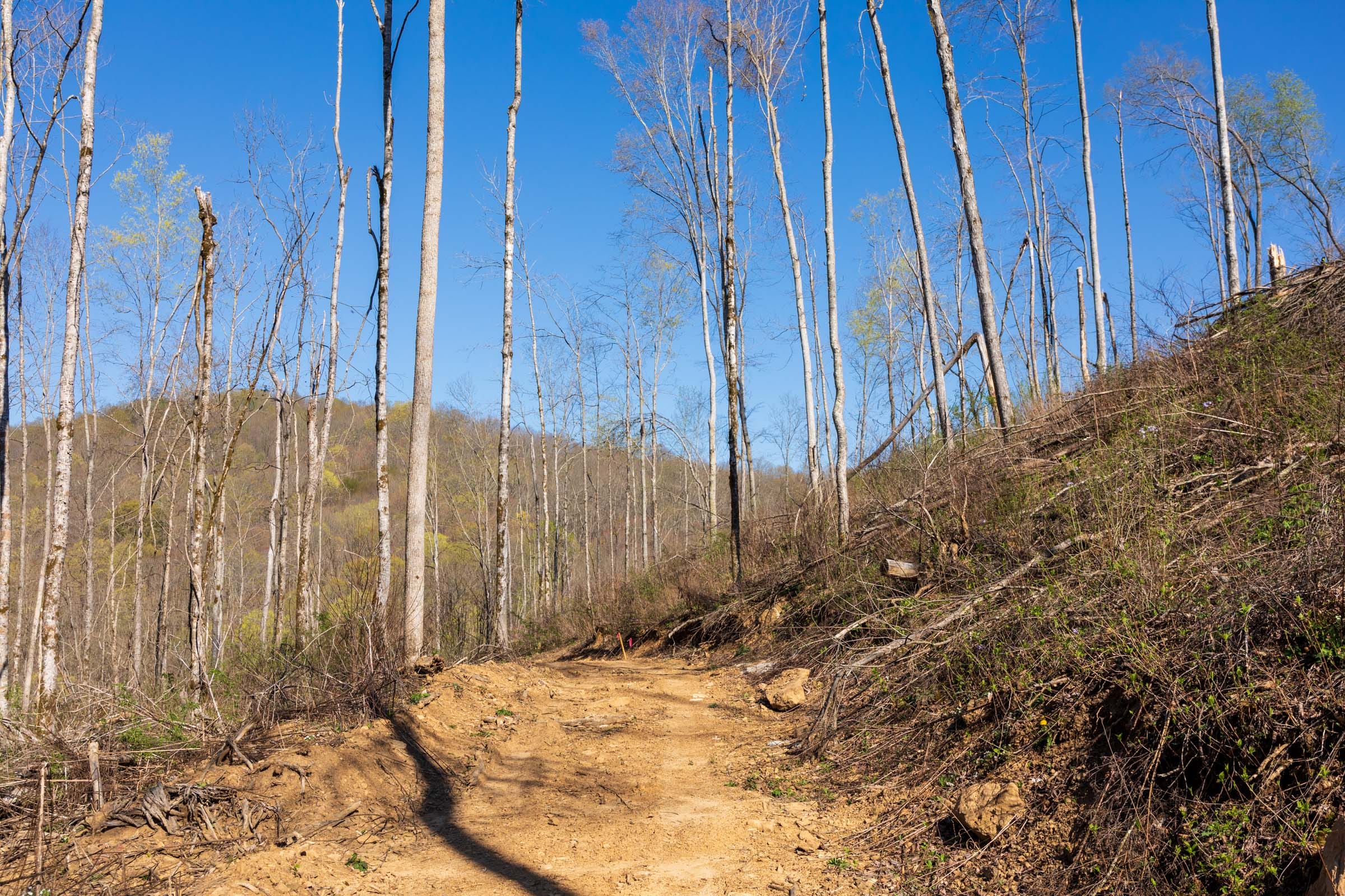 Creek Hollow Phase I Tract 38 photo 4