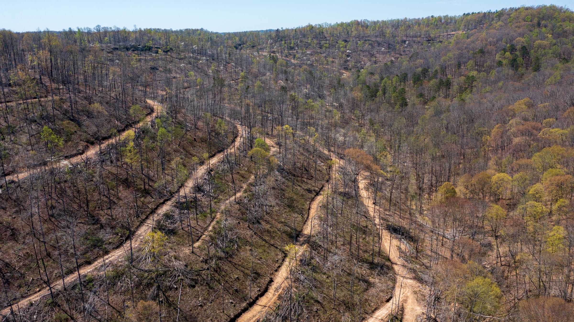 Creek Hollow Phase I Tract 38 photo 6