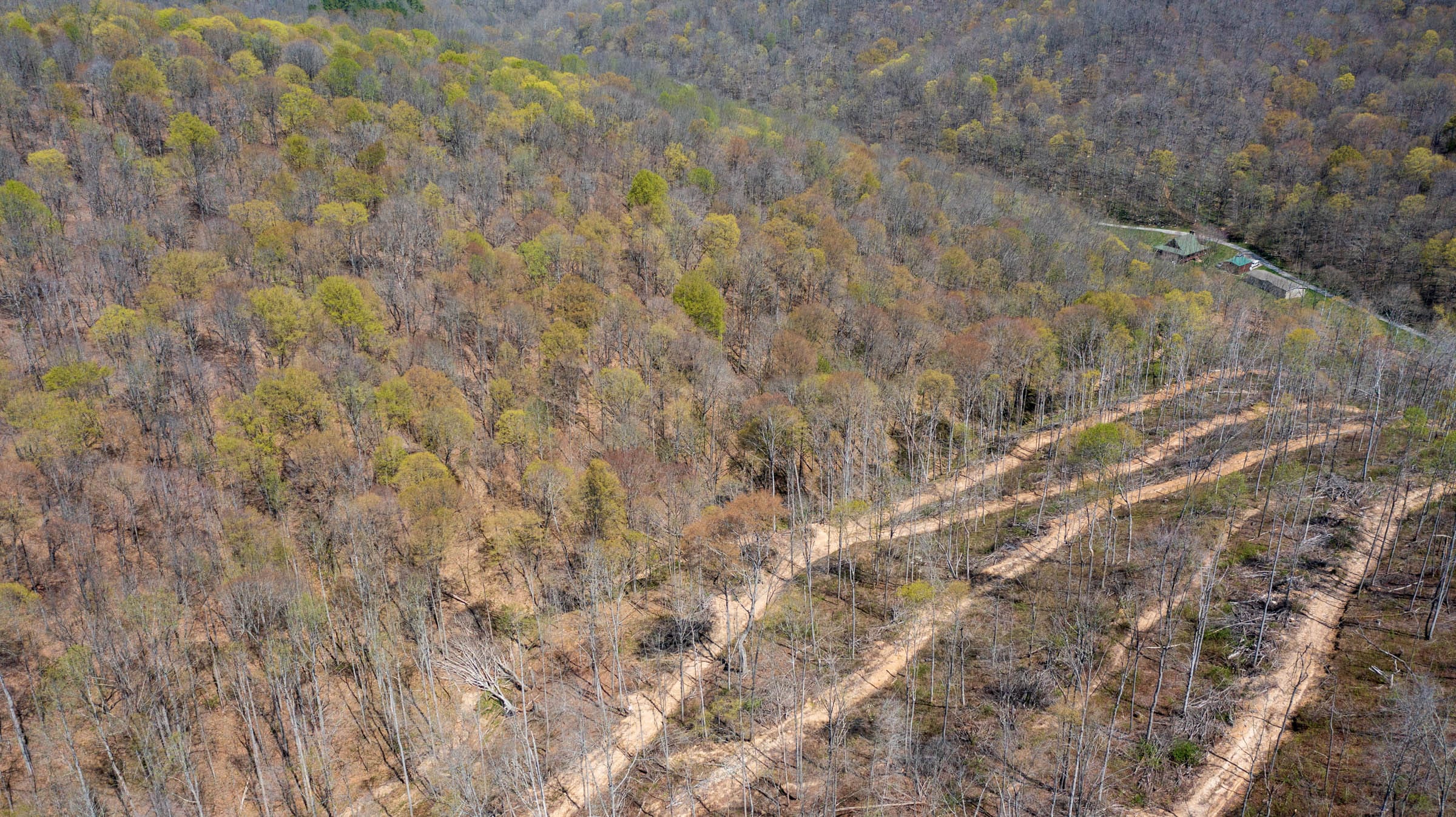 Creek Hollow Phase I Tract 38 photo 7