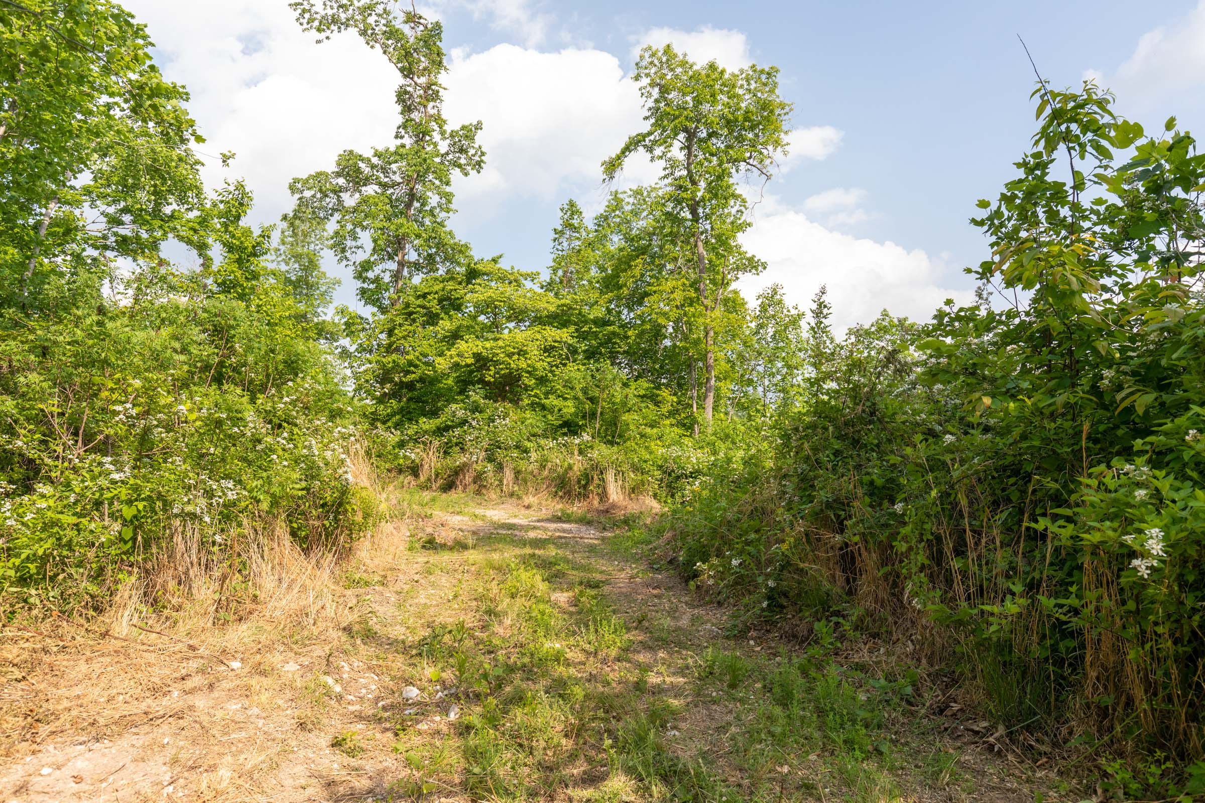 Cedar Creek Tract 29 photo 5