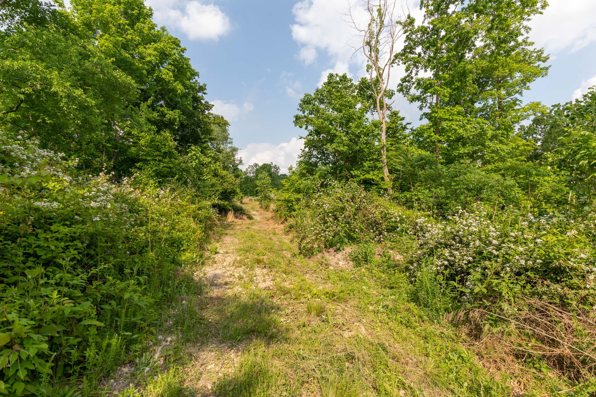 Cedar Creek Tract 29 photo 1