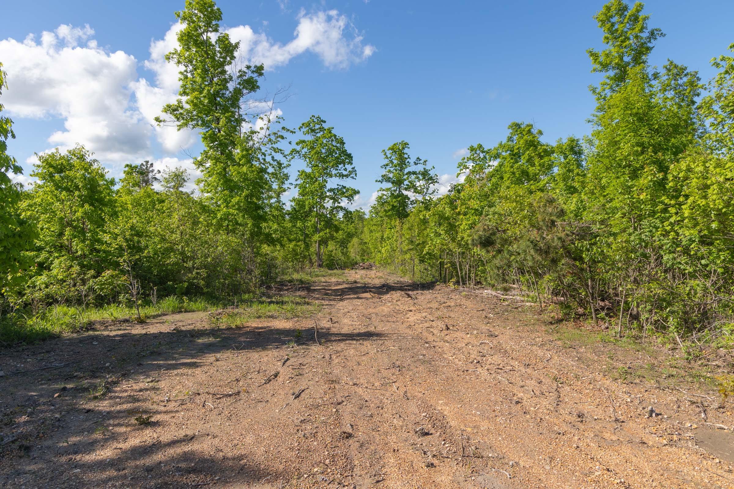 Sleepy Hollow Phase II Tract 62 photo 15
