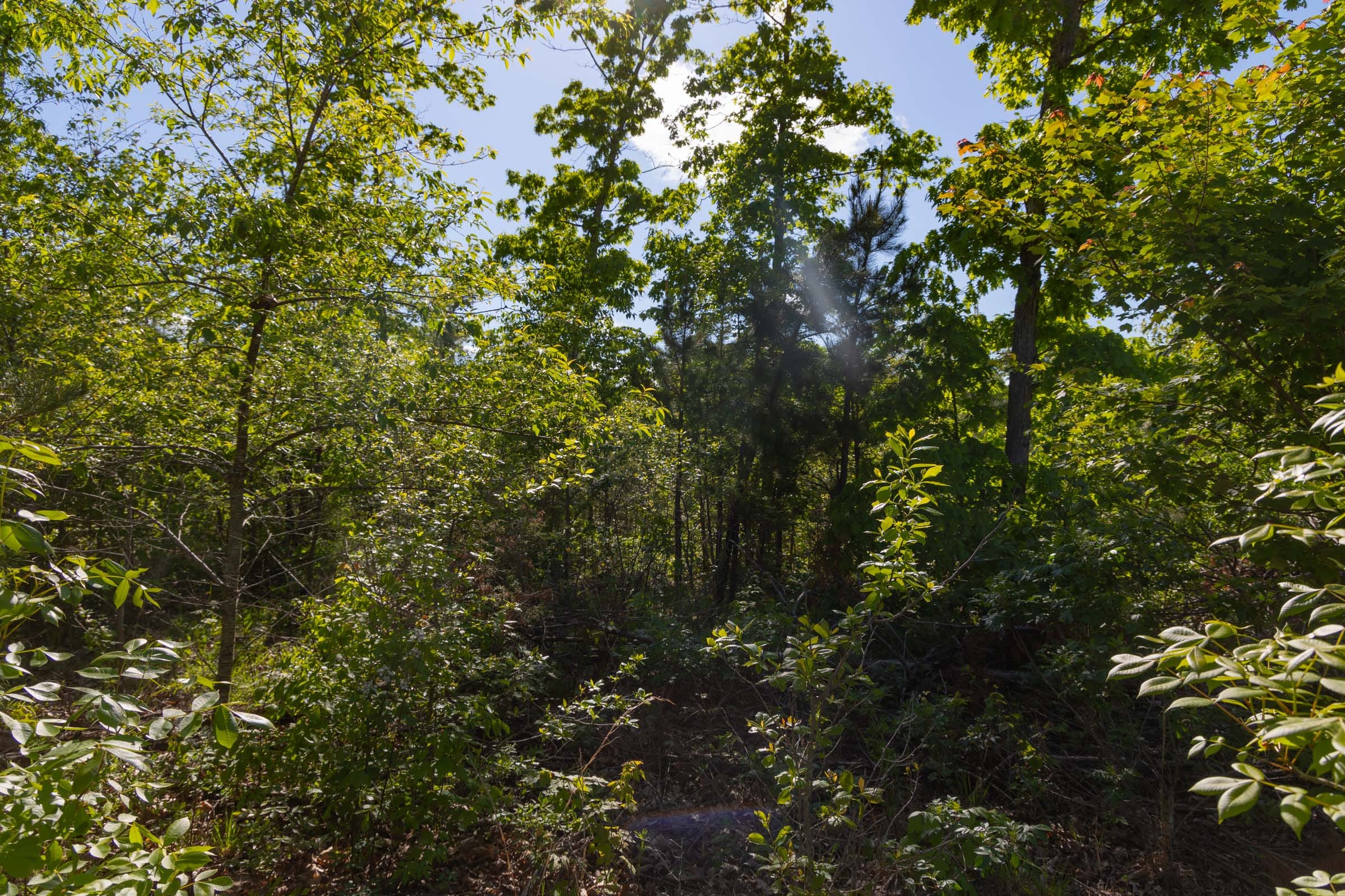 Sleepy Hollow Phase II Tract 62 photo 13