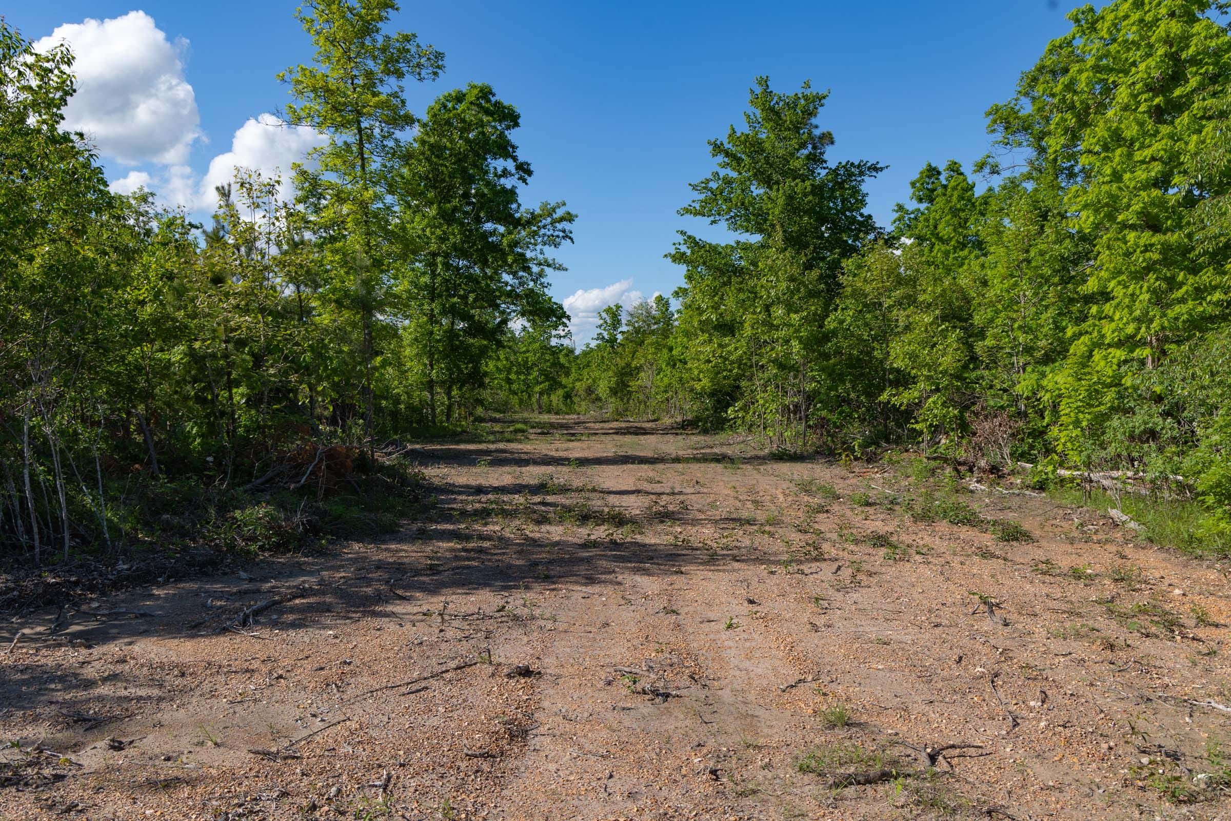 Sleepy Hollow Phase II Tract 62 photo 3
