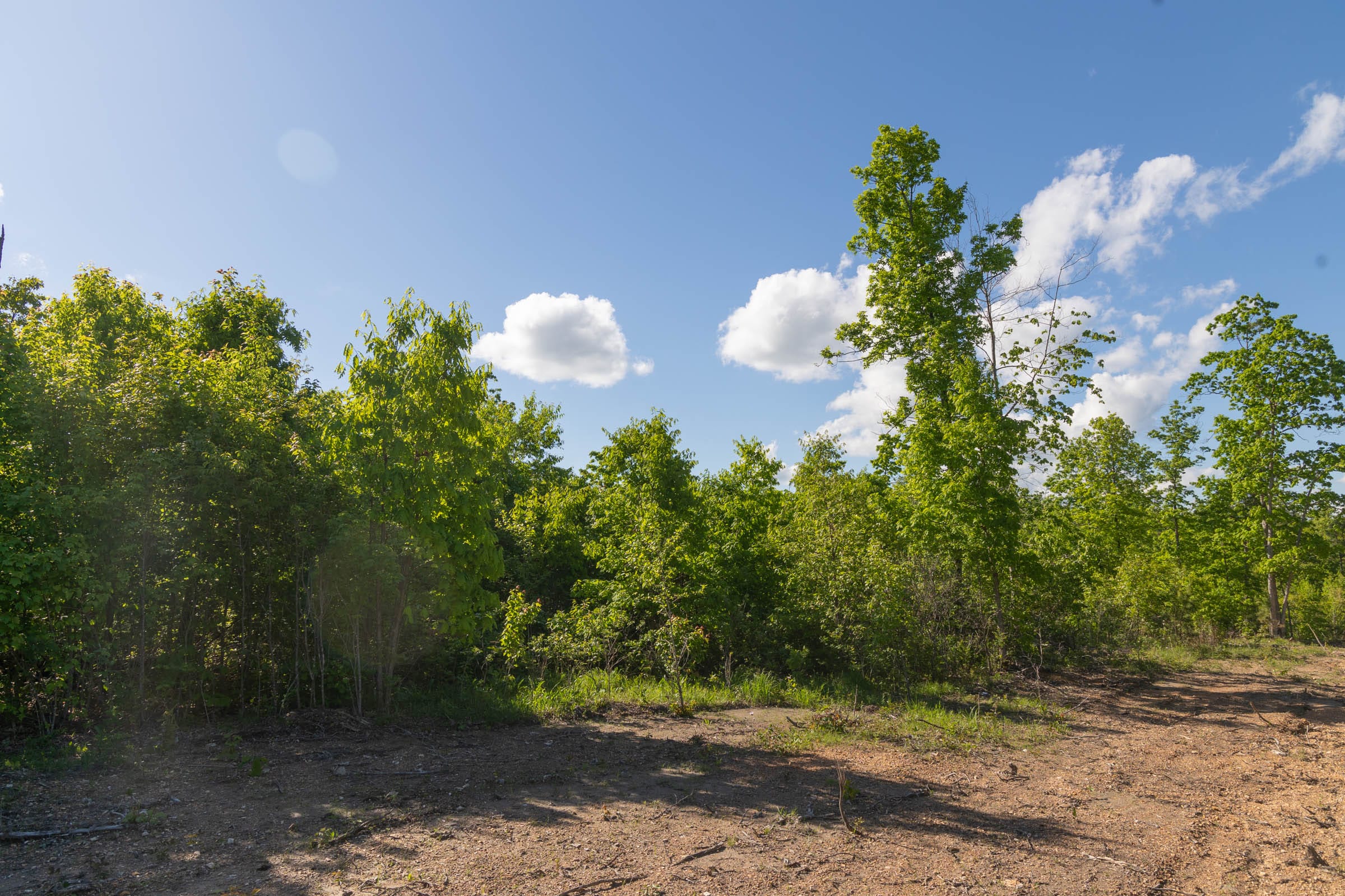Sleepy Hollow Phase II Tract 62 photo 12