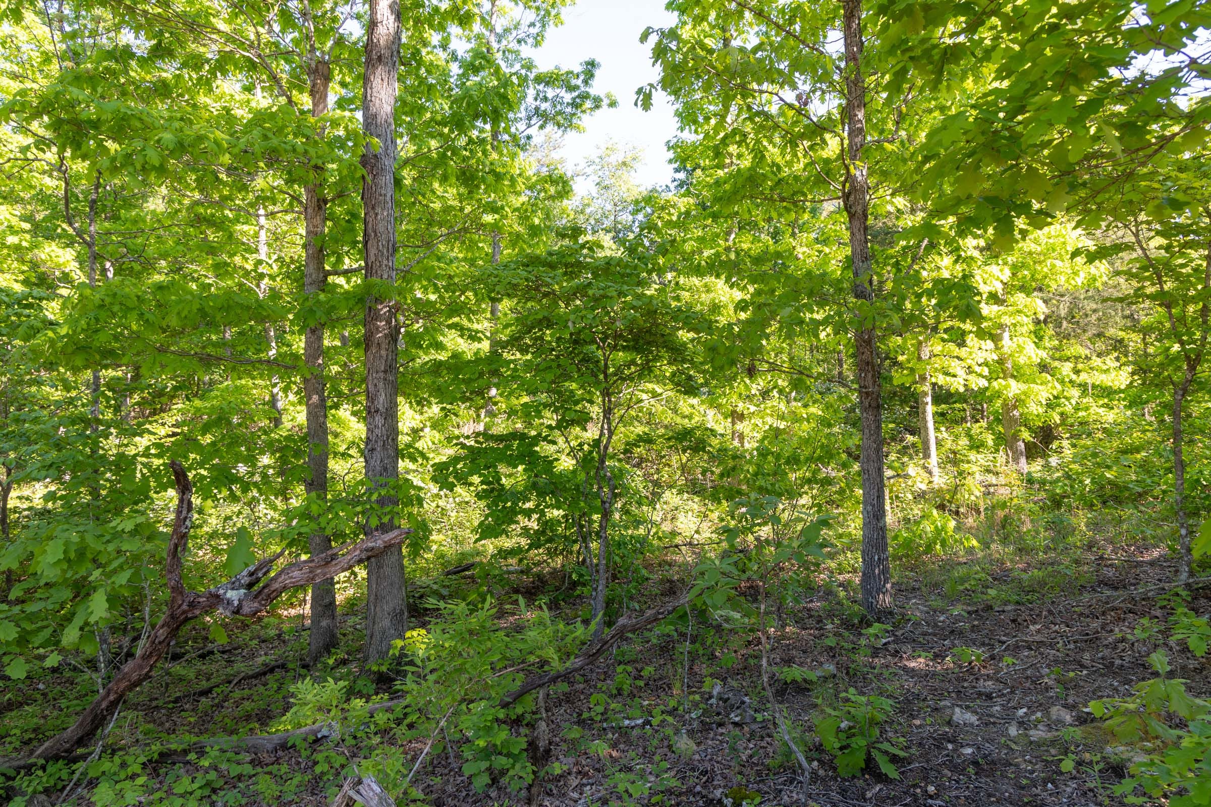 Sleepy Hollow Phase II Tract 62 photo 1