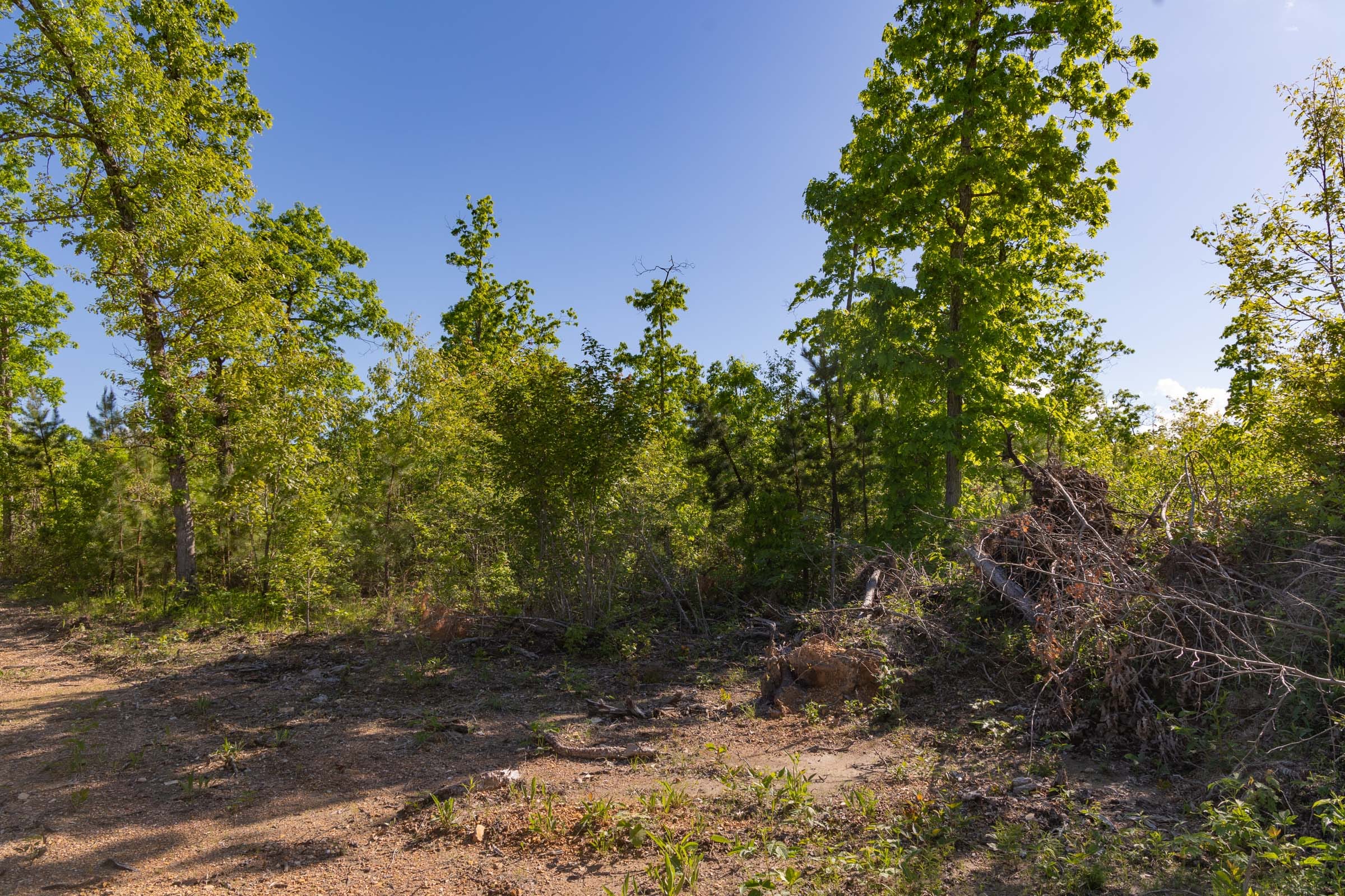 Sleepy Hollow Phase II Tract 62 photo 11