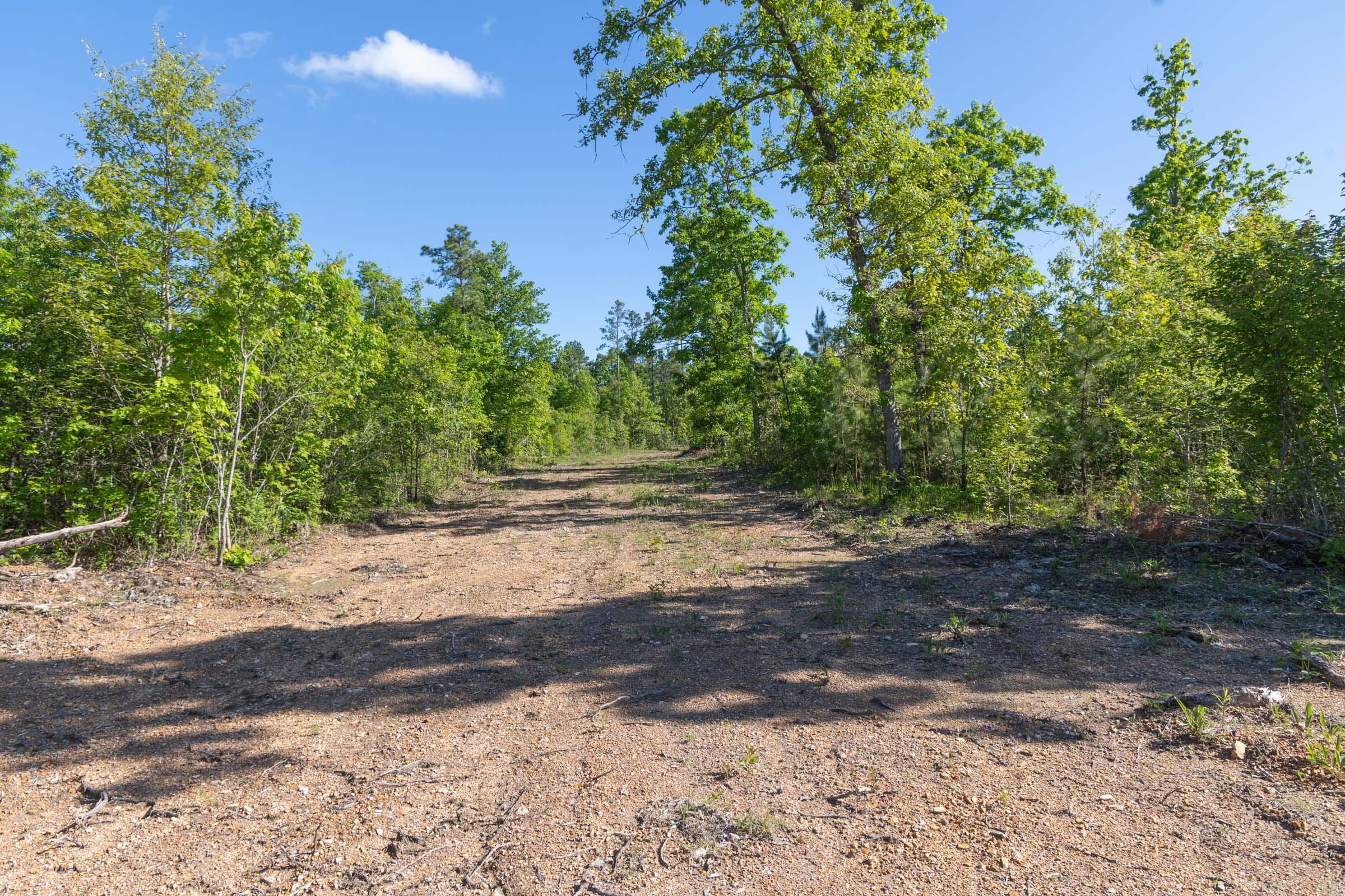 Sleepy Hollow Phase II Tract 62 photo 10