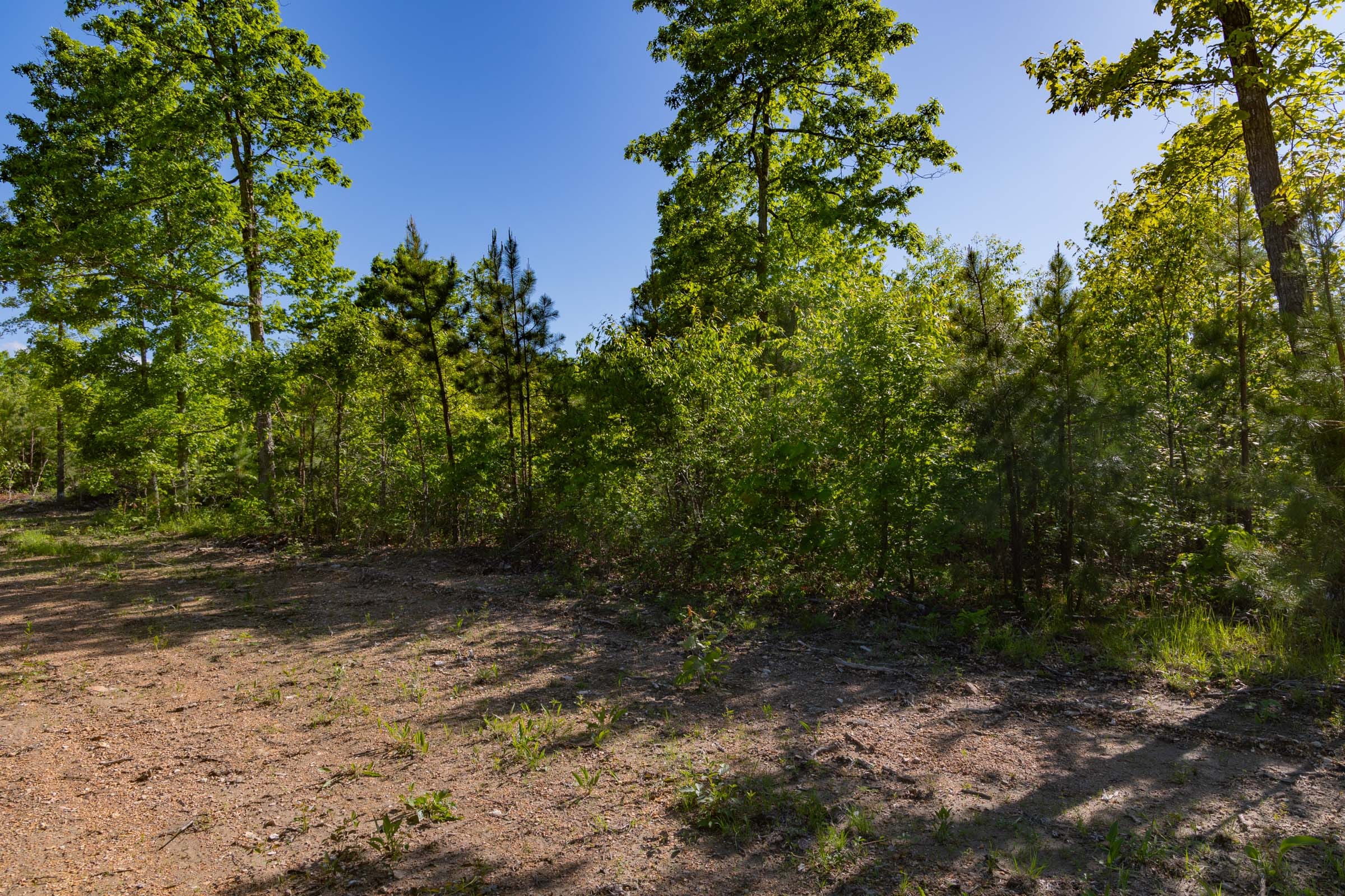 Sleepy Hollow Phase II Tract 62 photo 9