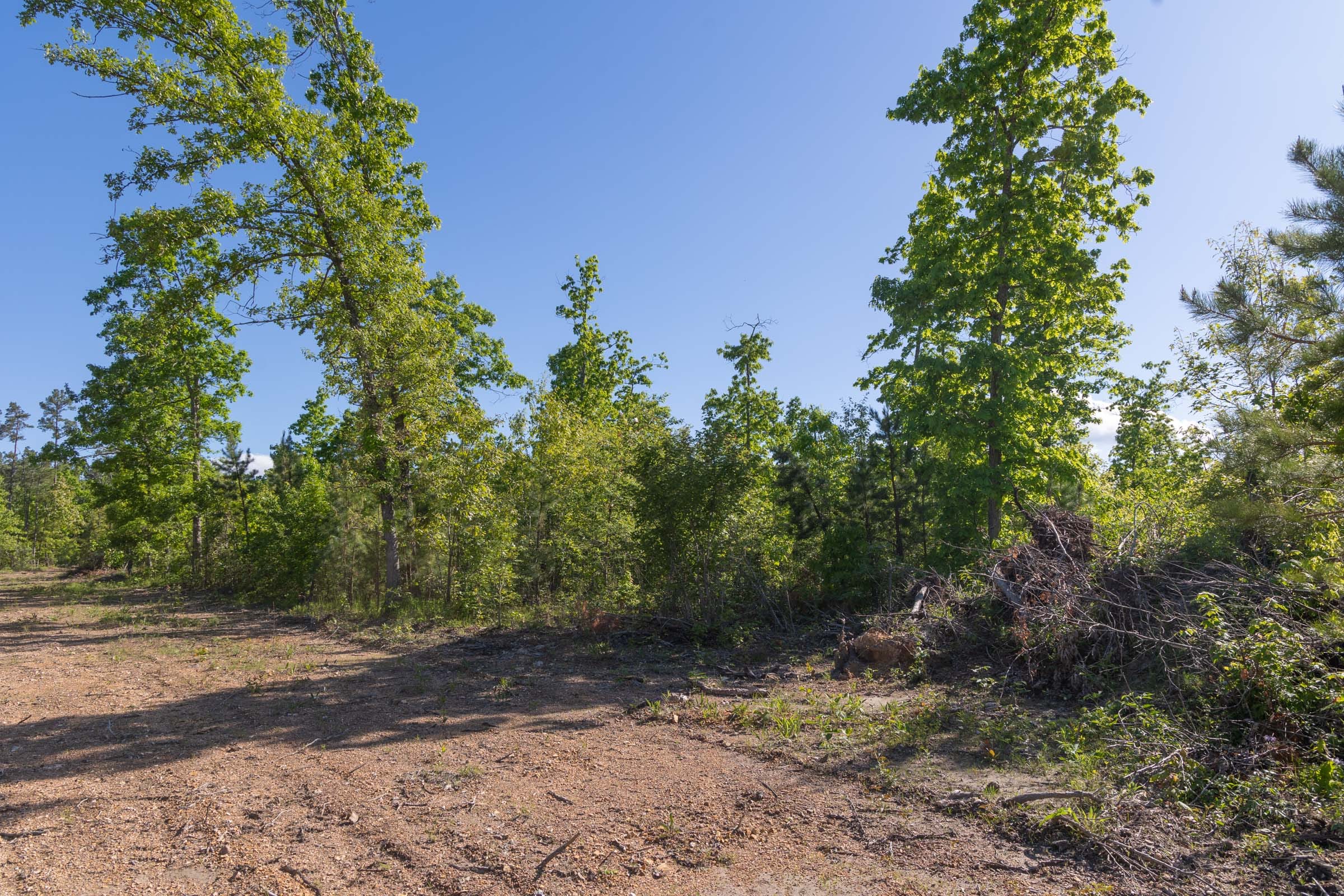 Sleepy Hollow Phase II Tract 62 photo 8