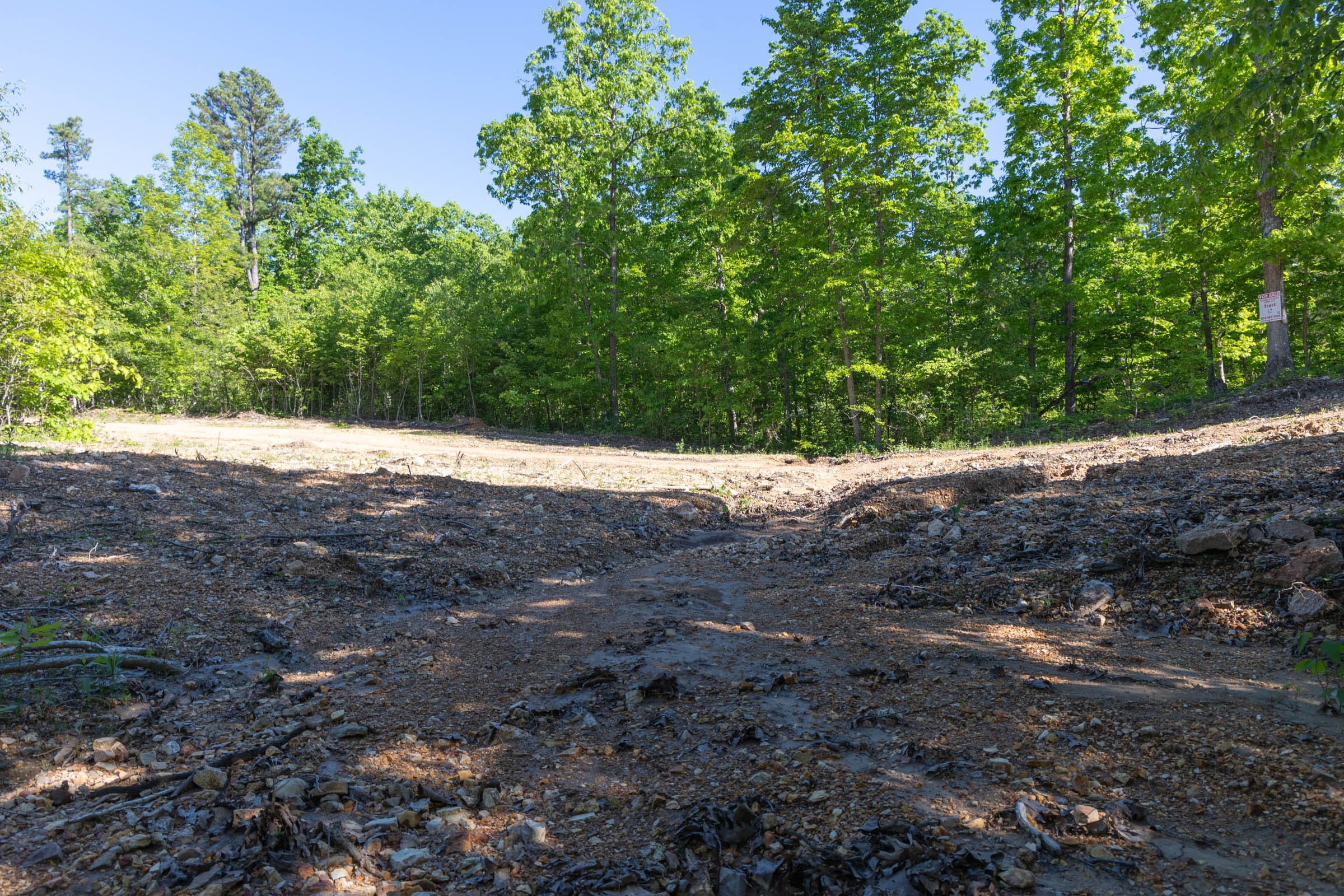 Sleepy Hollow Phase II Tract 62 photo 6