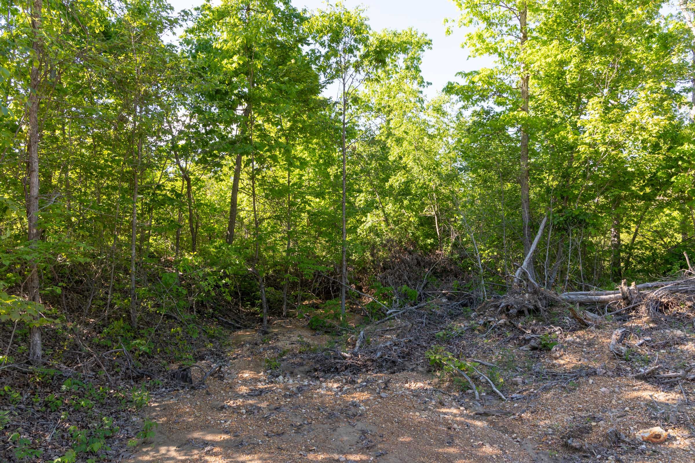 Sleepy Hollow Phase II Tract 62 photo 5