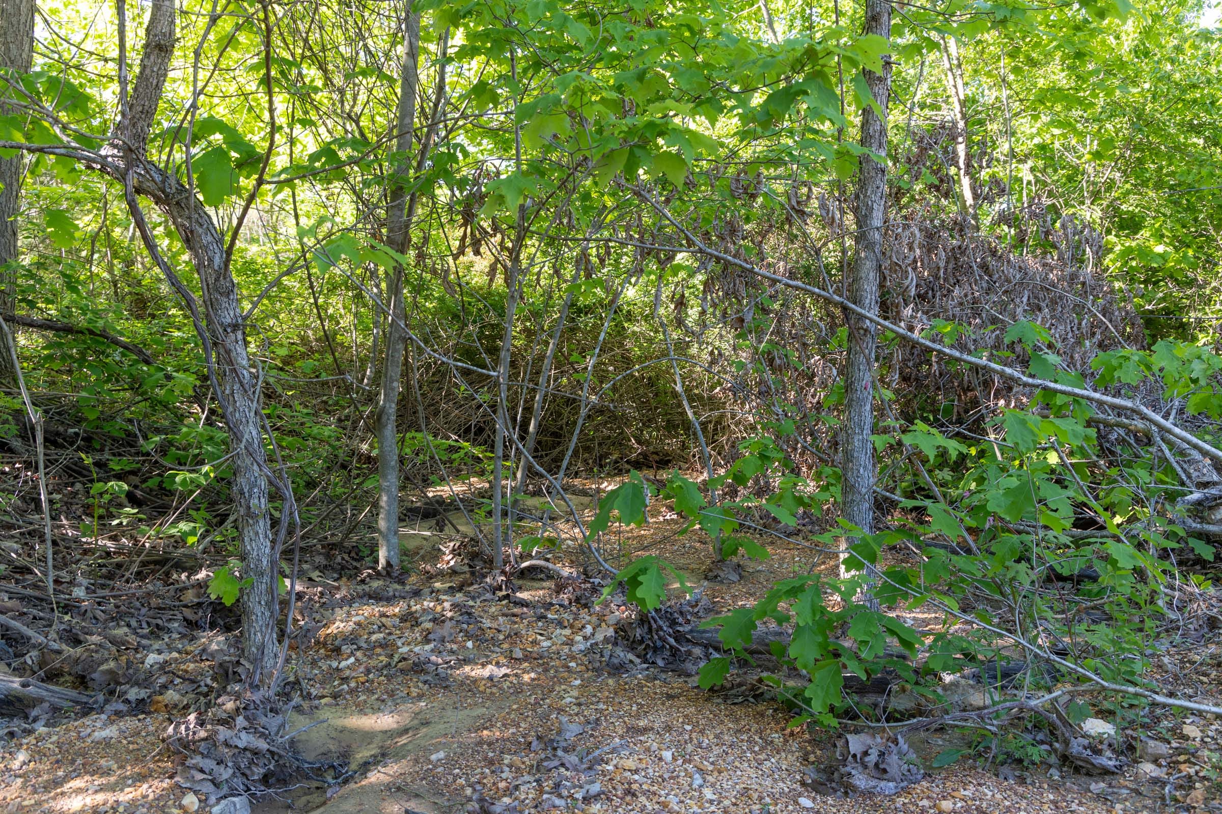 Sleepy Hollow Phase II Tract 62 photo 4