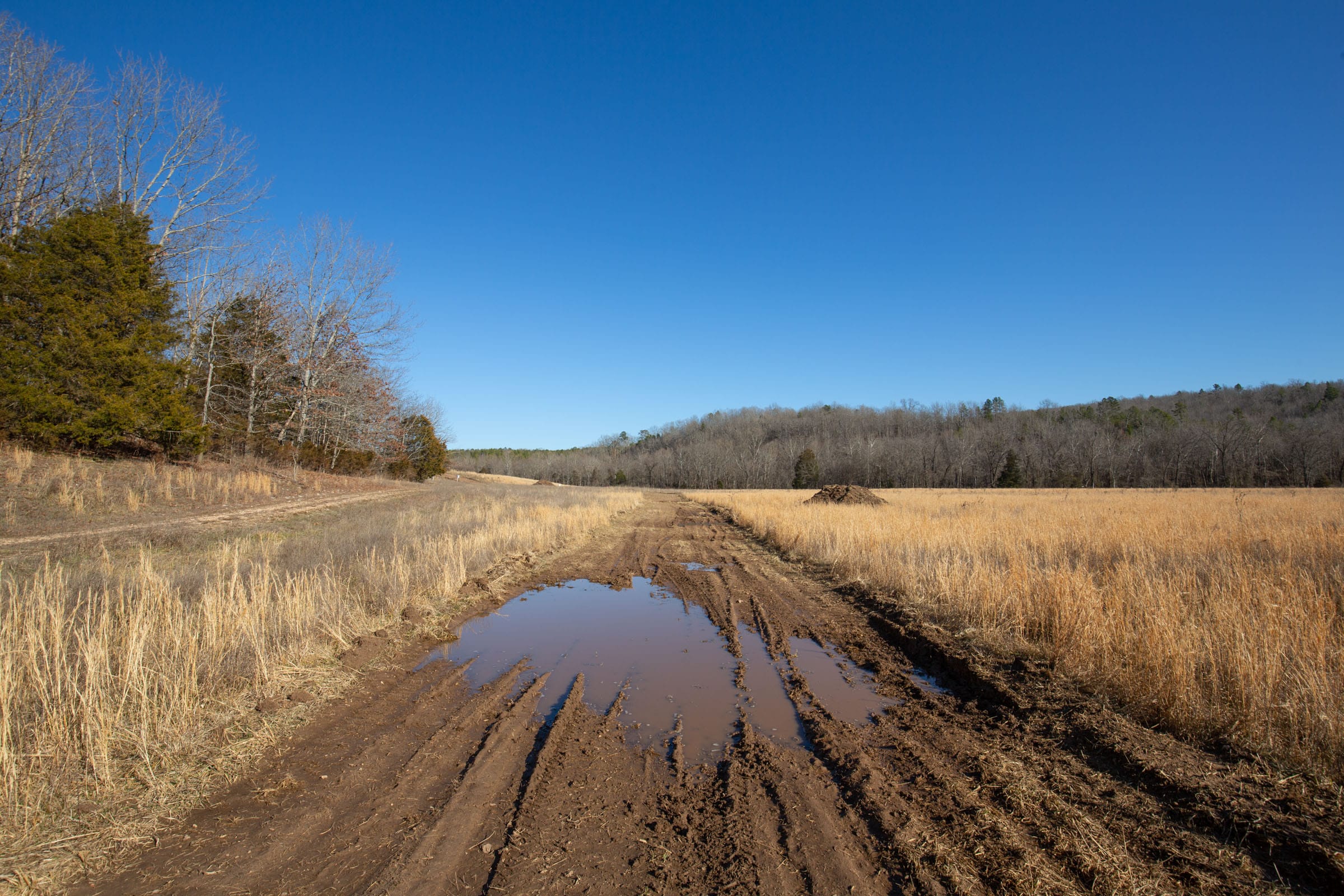 O’Connor Crossing Tract 6 photo 2