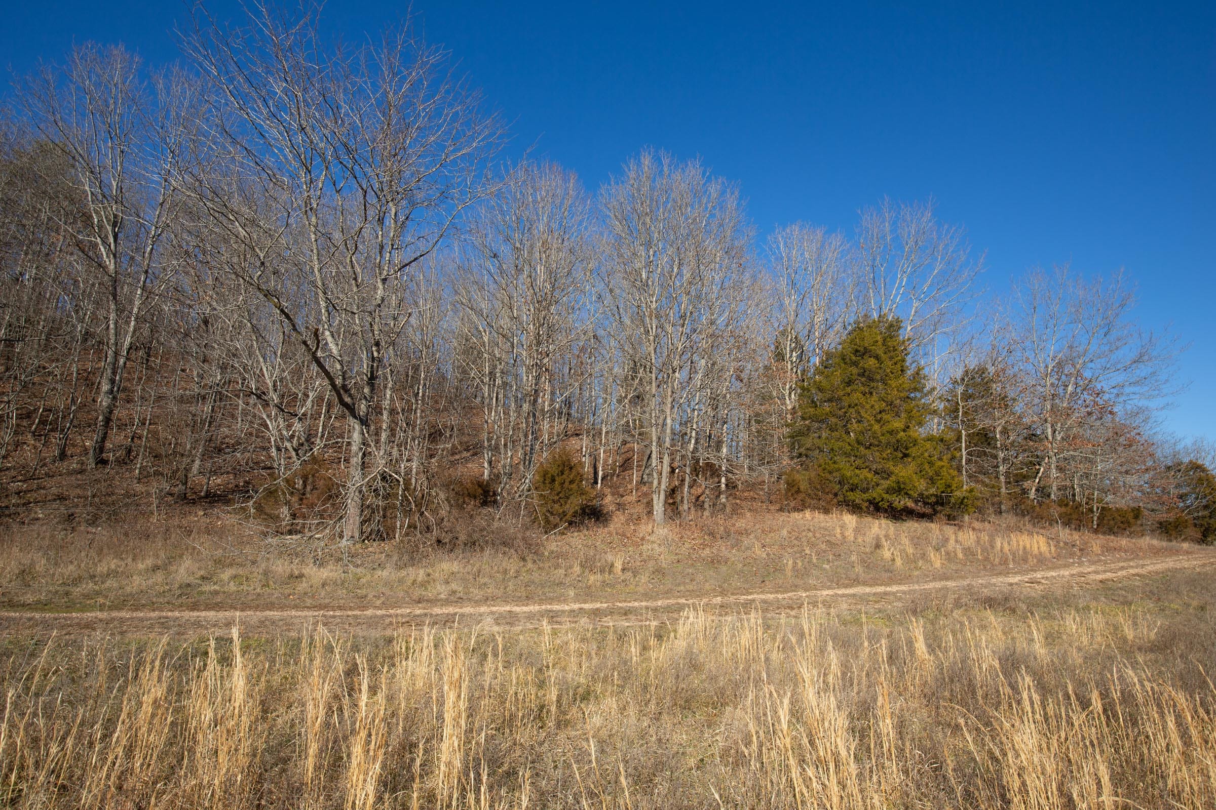 O’Connor Crossing Tract 6 photo 3