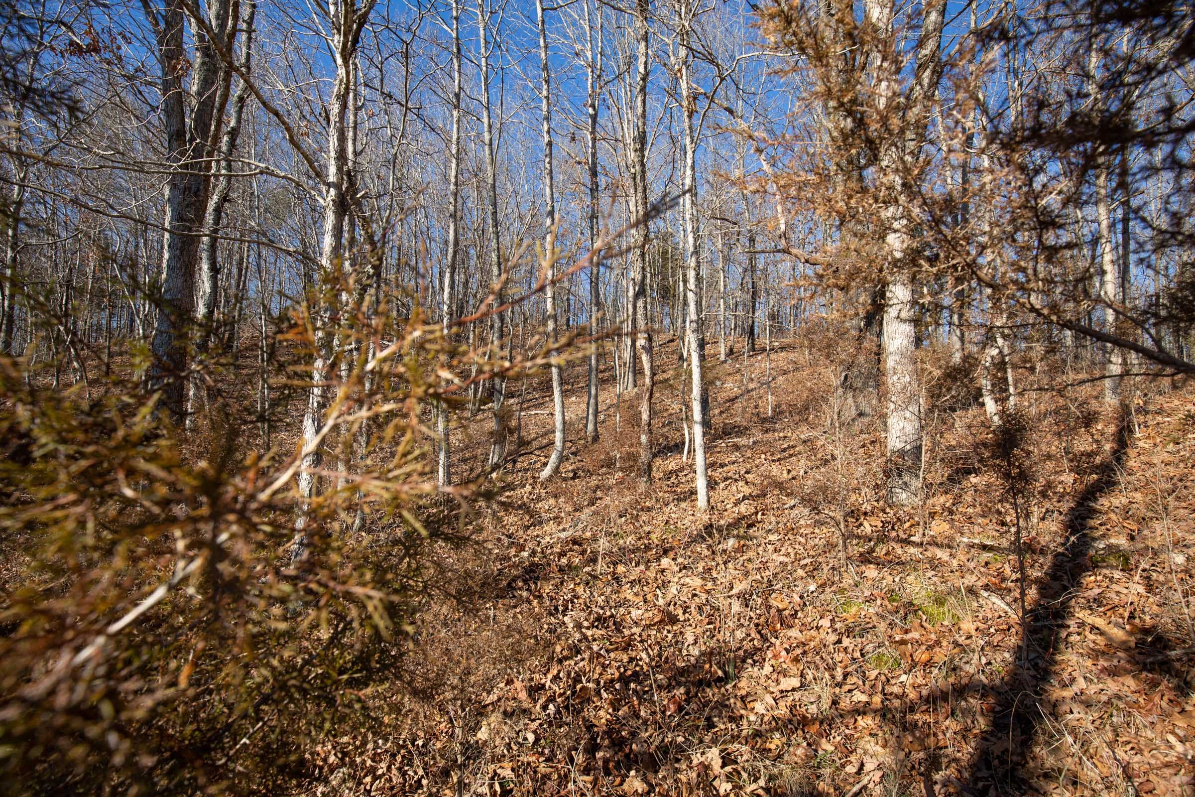 O’Connor Crossing Tract 6 photo 4