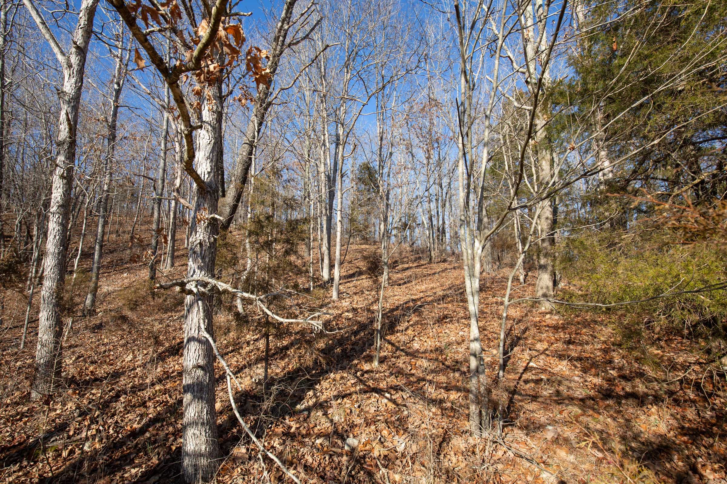 O’Connor Crossing Tract 6 photo 5