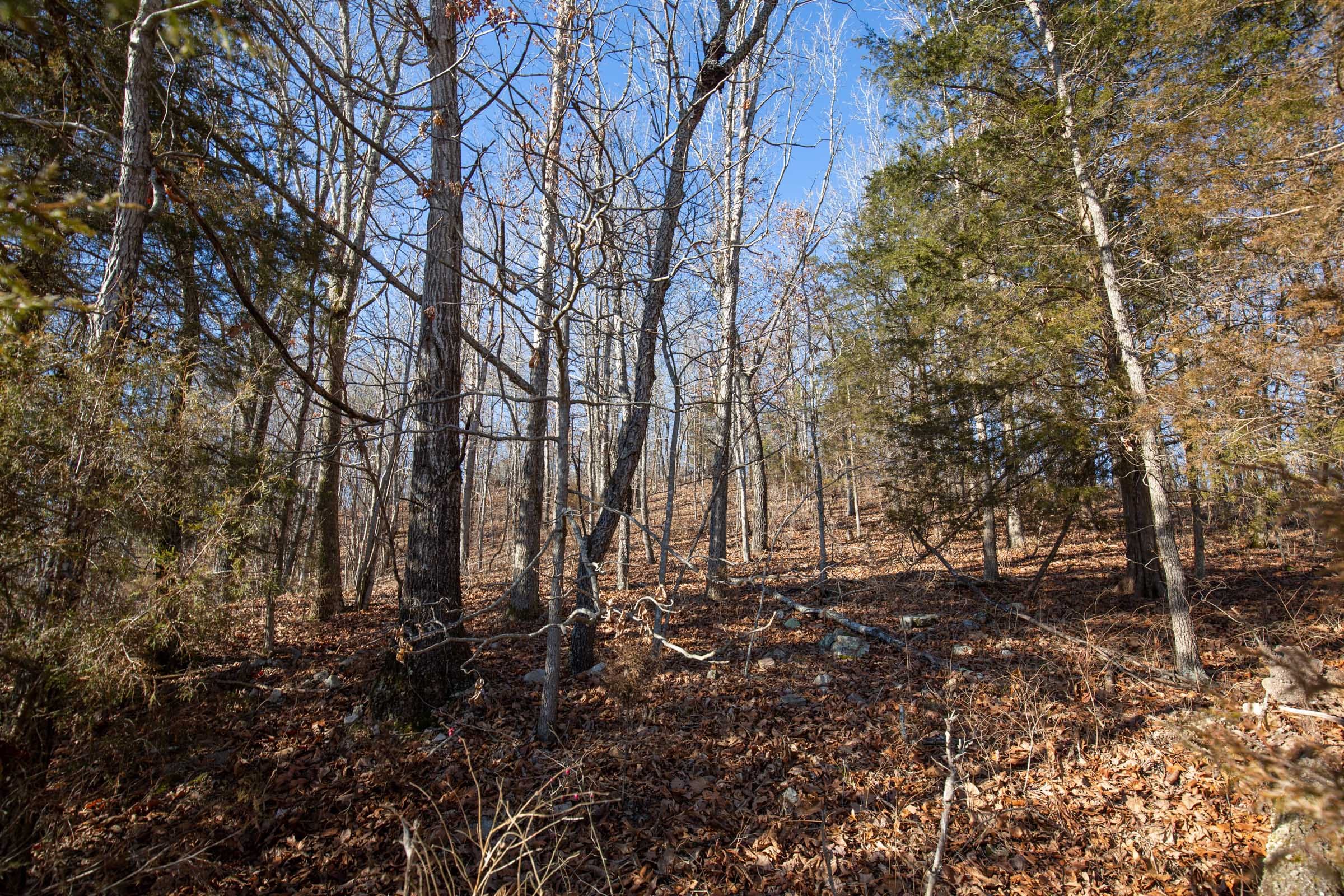 O’Connor Crossing Tract 6 photo 6