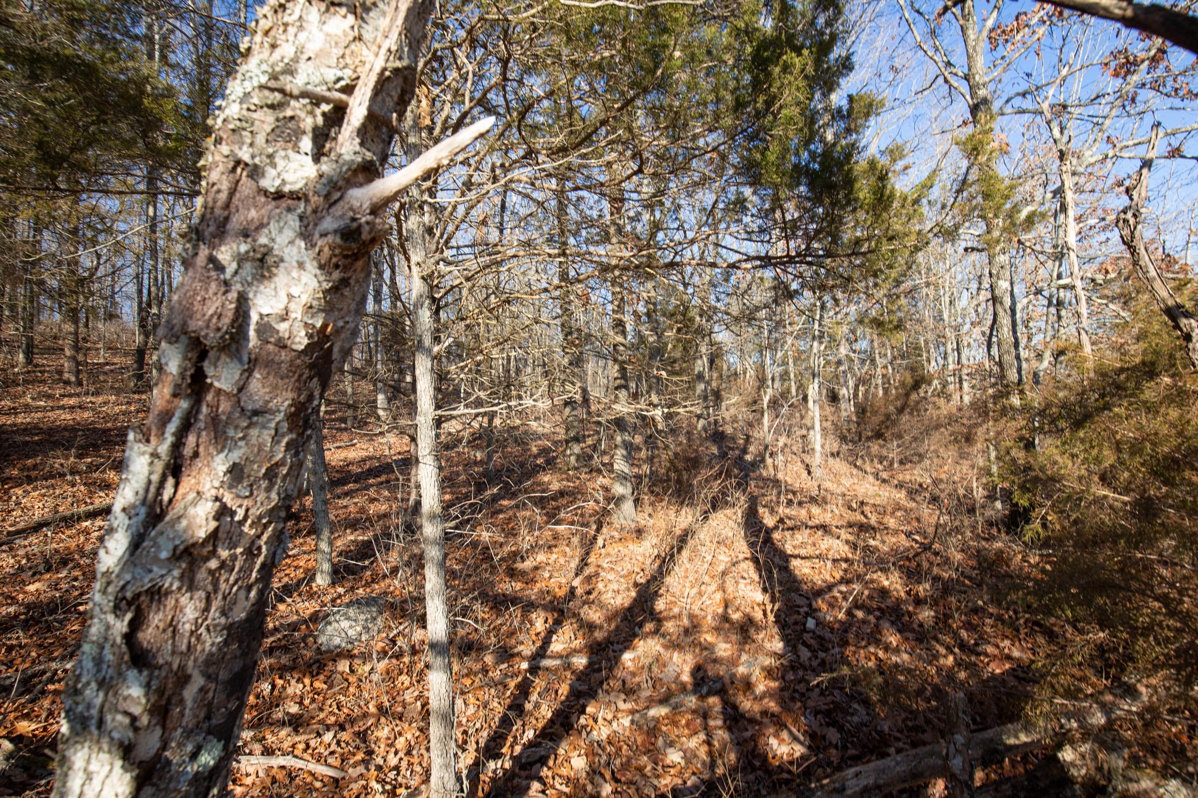 O’Connor Crossing Tract 6 photo 8