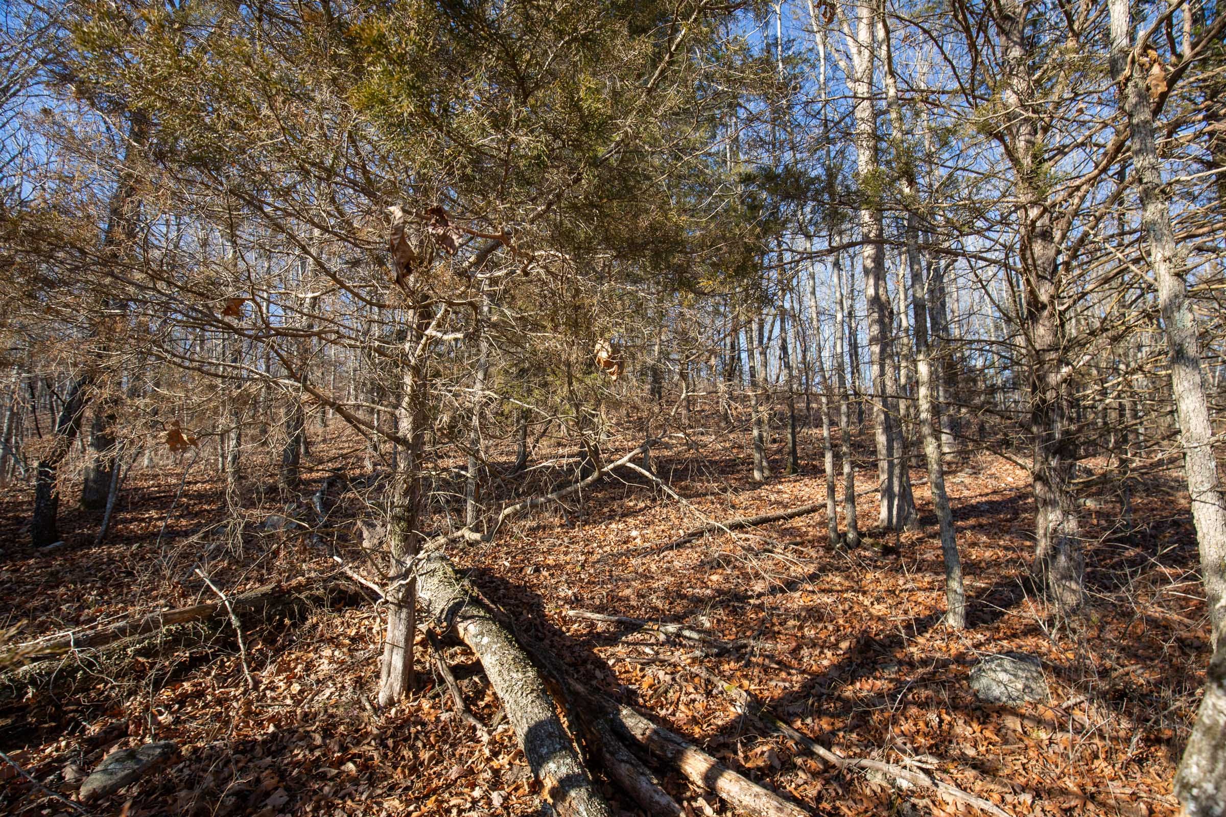 O’Connor Crossing Tract 6 photo 9