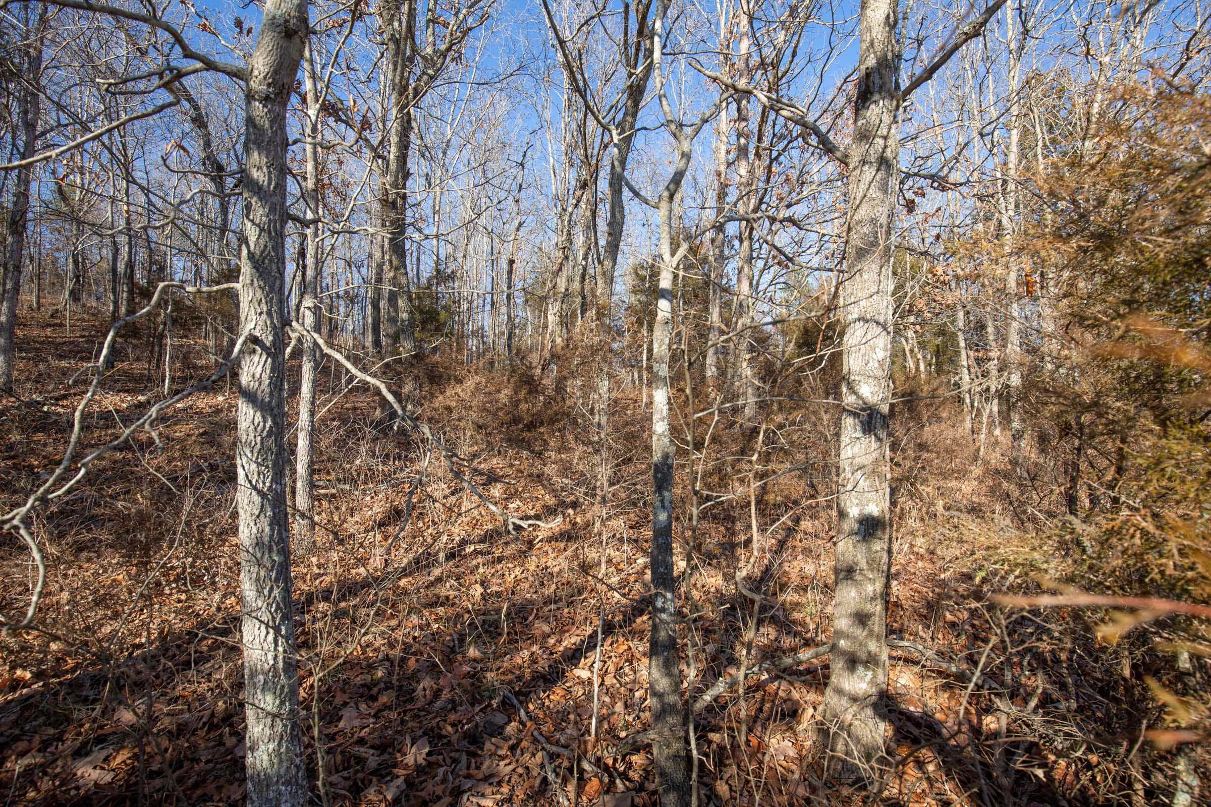 O’Connor Crossing Tract 6 photo 10