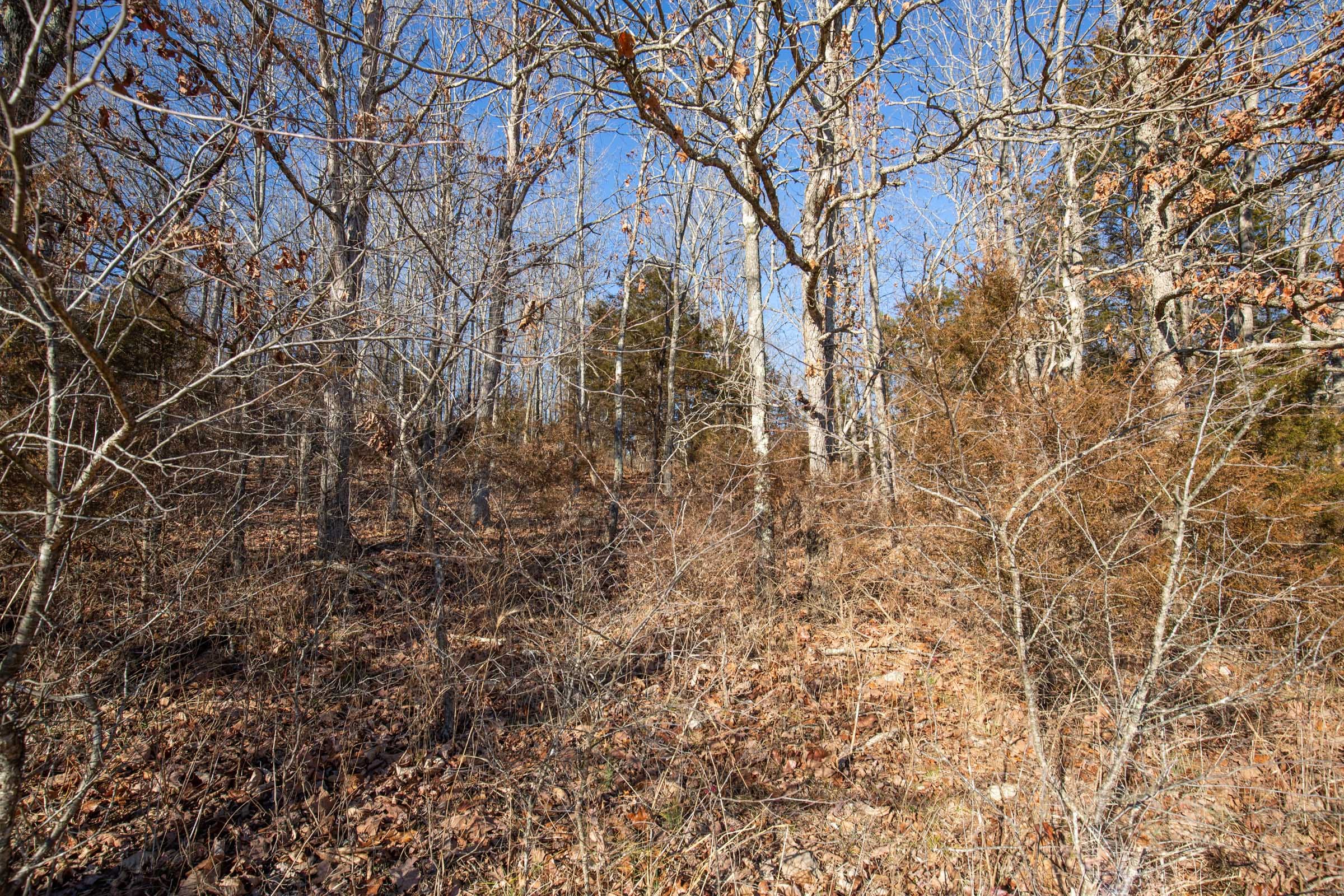 O’Connor Crossing Tract 6 photo 12