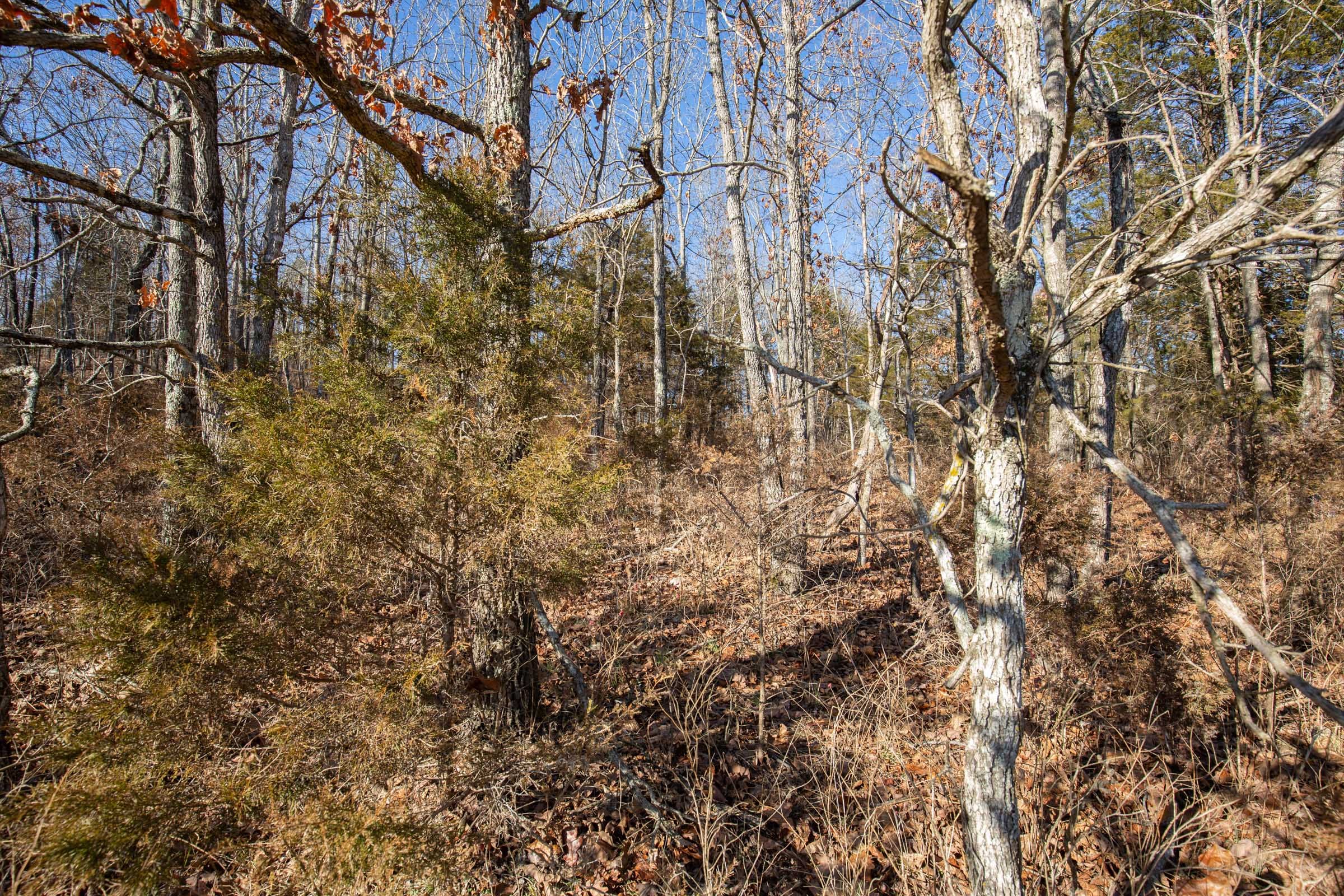 O’Connor Crossing Tract 6 photo 13