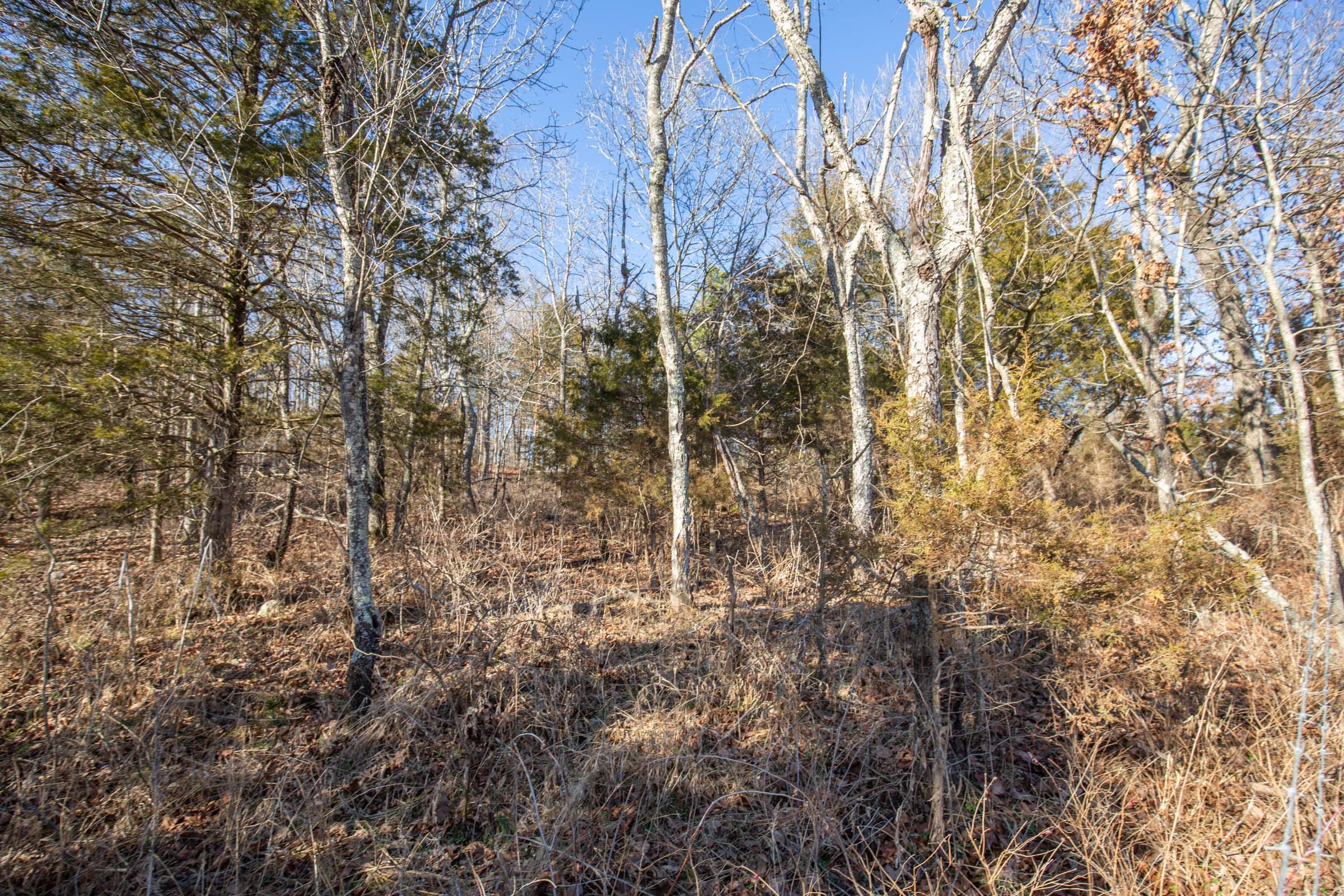 O’Connor Crossing Tract 6 photo 14