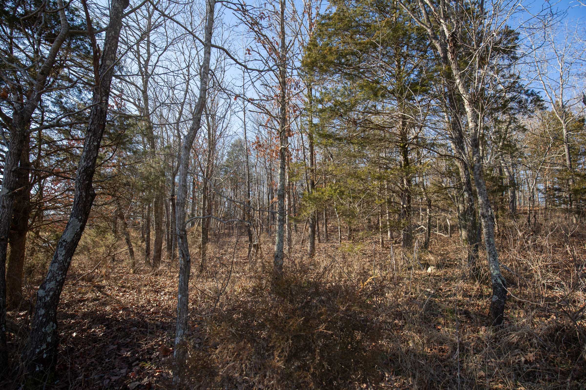 O’Connor Crossing Tract 6 photo 15