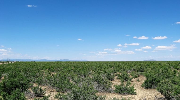 Garden Valley Ranchos Tract 579 photo 4
