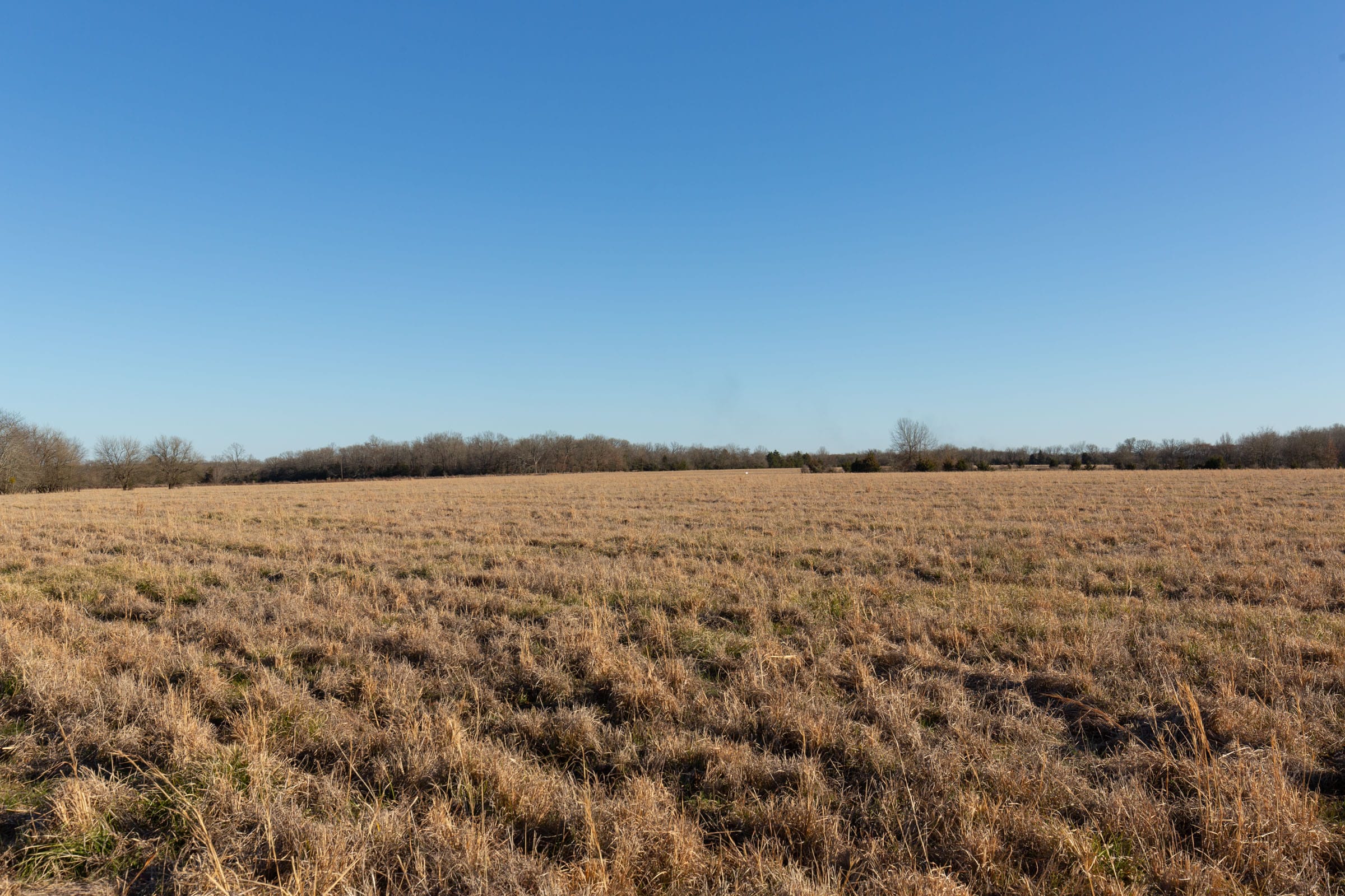 Wishing Star Ranch Tract 13 photo 2